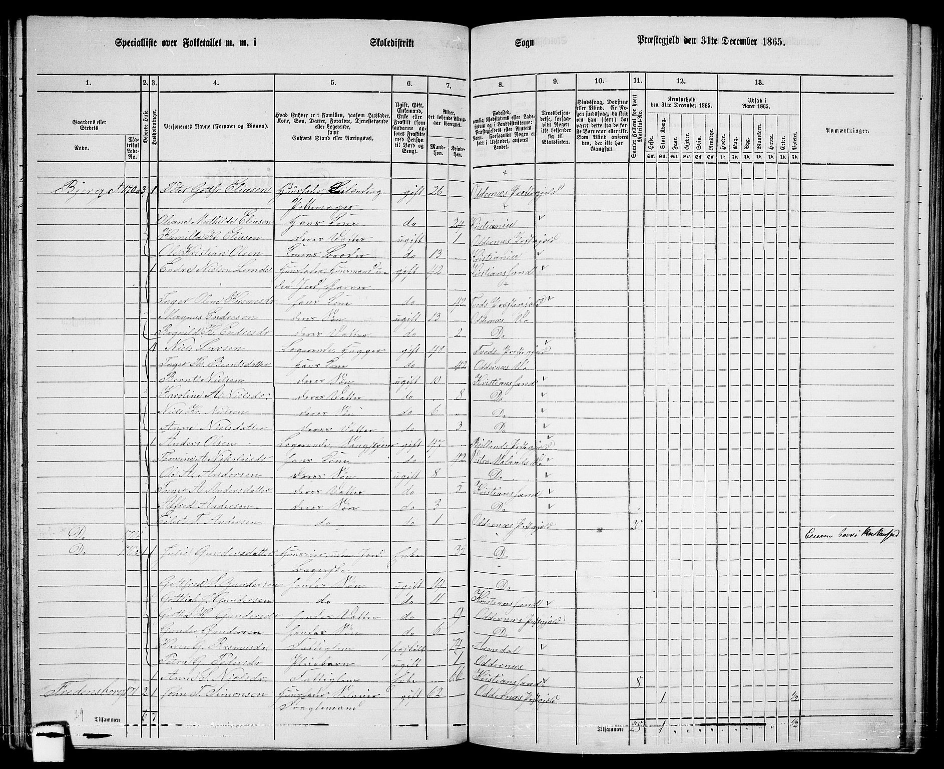 RA, Folketelling 1865 for 1012P Oddernes prestegjeld, 1865, s. 96