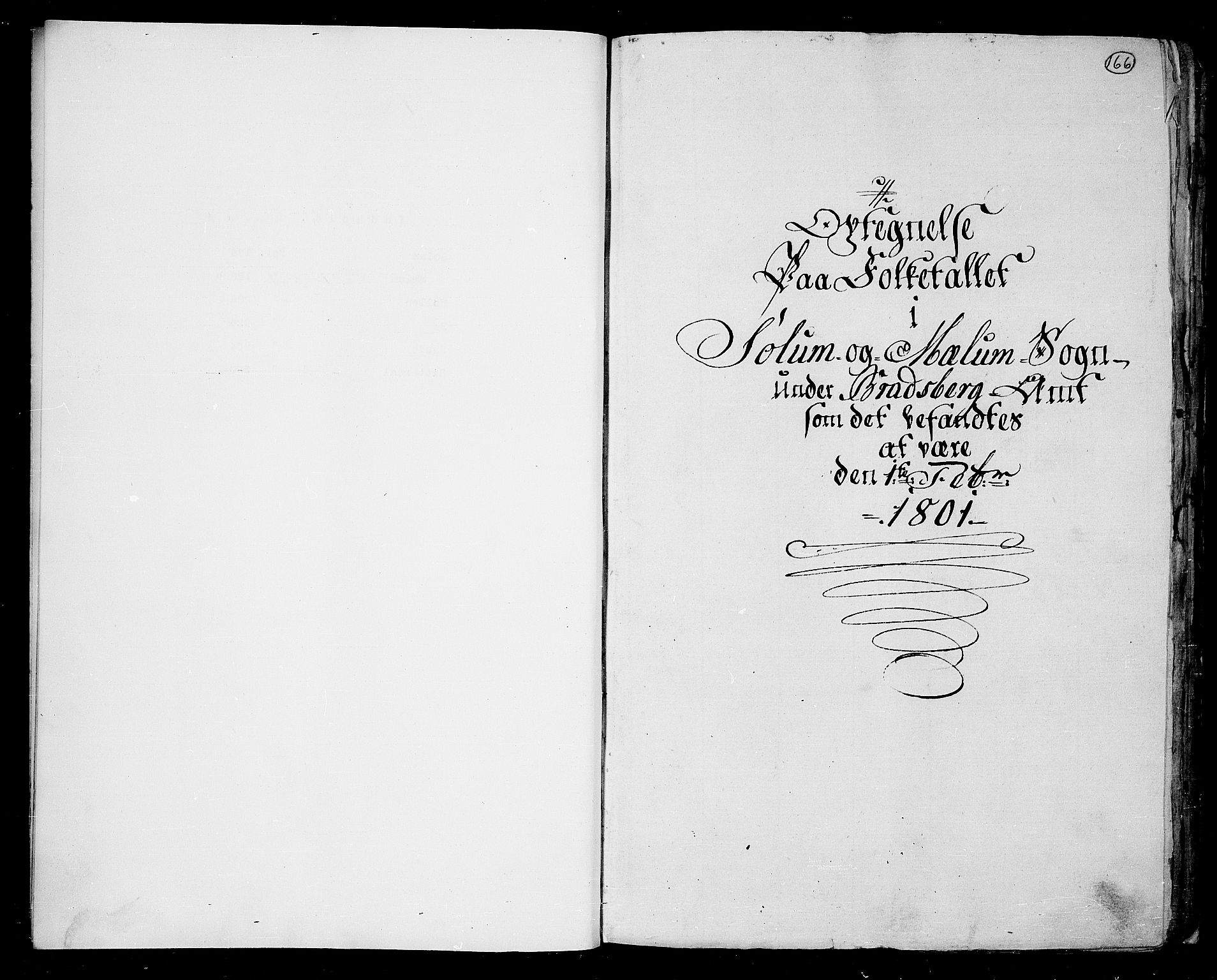 RA, Folketelling 1801 for 0818P Solum prestegjeld, 1801, s. 166a
