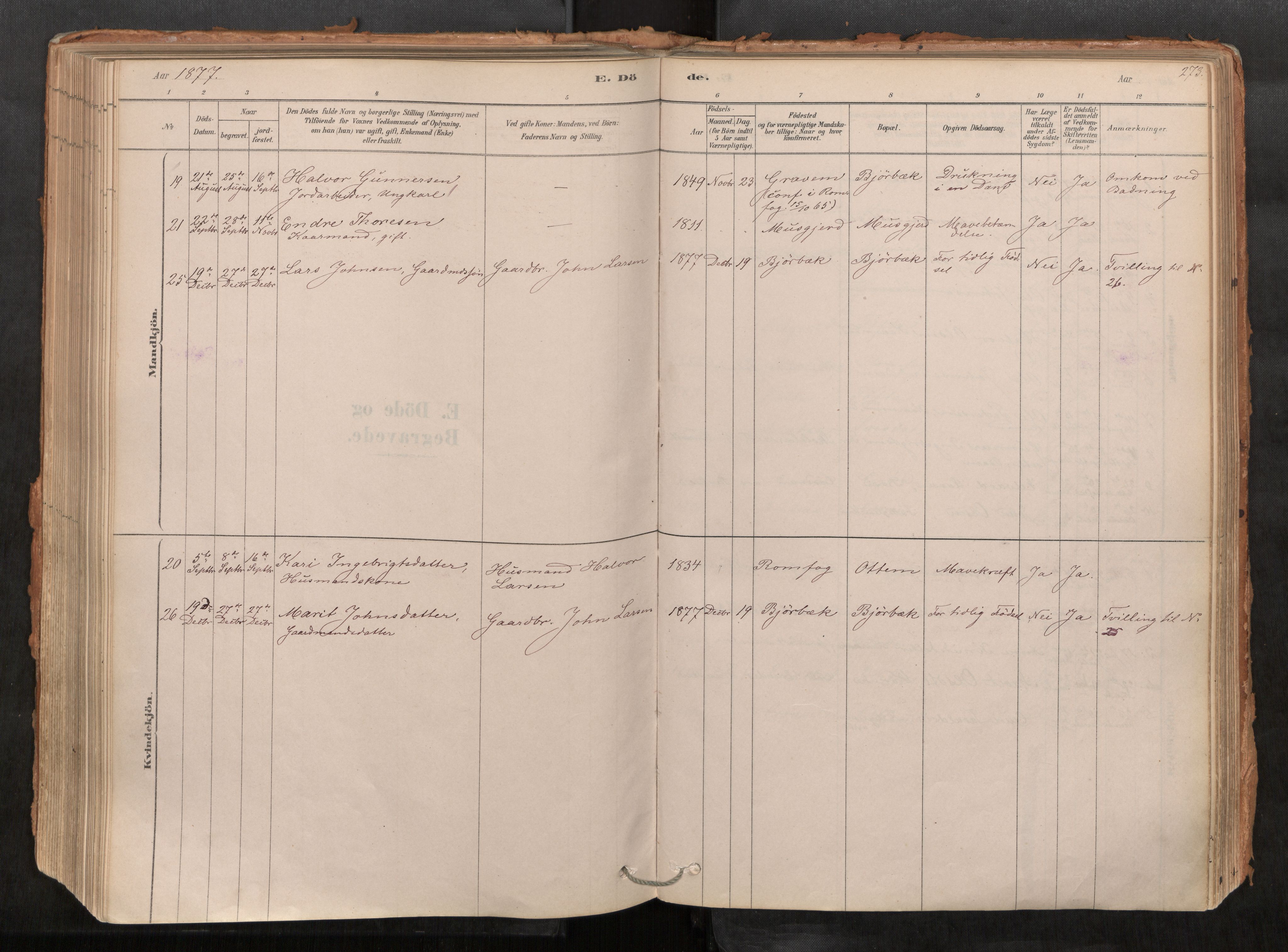 Sunndal sokneprestkontor, AV/SAT-A-1085/1/I/I1/I1a/L0001: Ministerialbok nr. 1, 1877-1914, s. 273