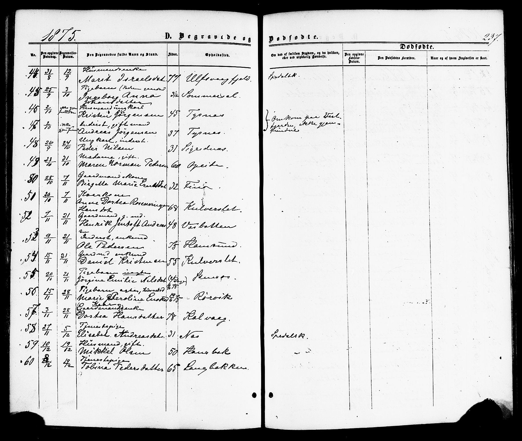 Ministerialprotokoller, klokkerbøker og fødselsregistre - Nordland, AV/SAT-A-1459/859/L0845: Ministerialbok nr. 859A05, 1863-1877, s. 237