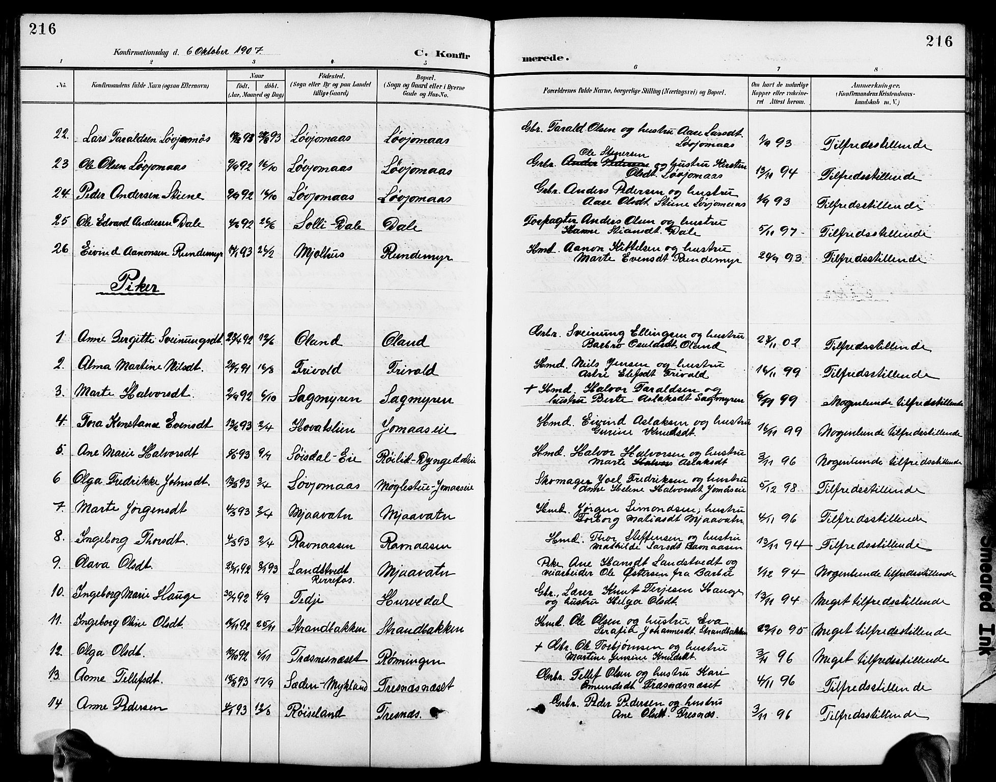 Froland sokneprestkontor, AV/SAK-1111-0013/F/Fb/L0010: Klokkerbok nr. B 10, 1893-1920, s. 216