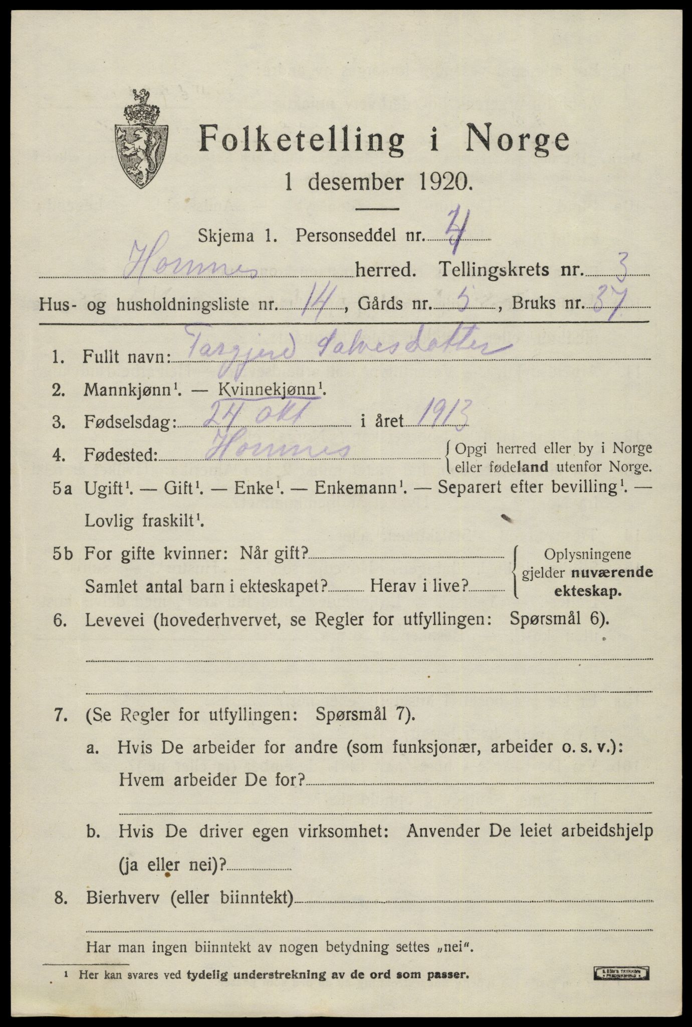 SAK, Folketelling 1920 for 0936 Hornnes herred, 1920, s. 969