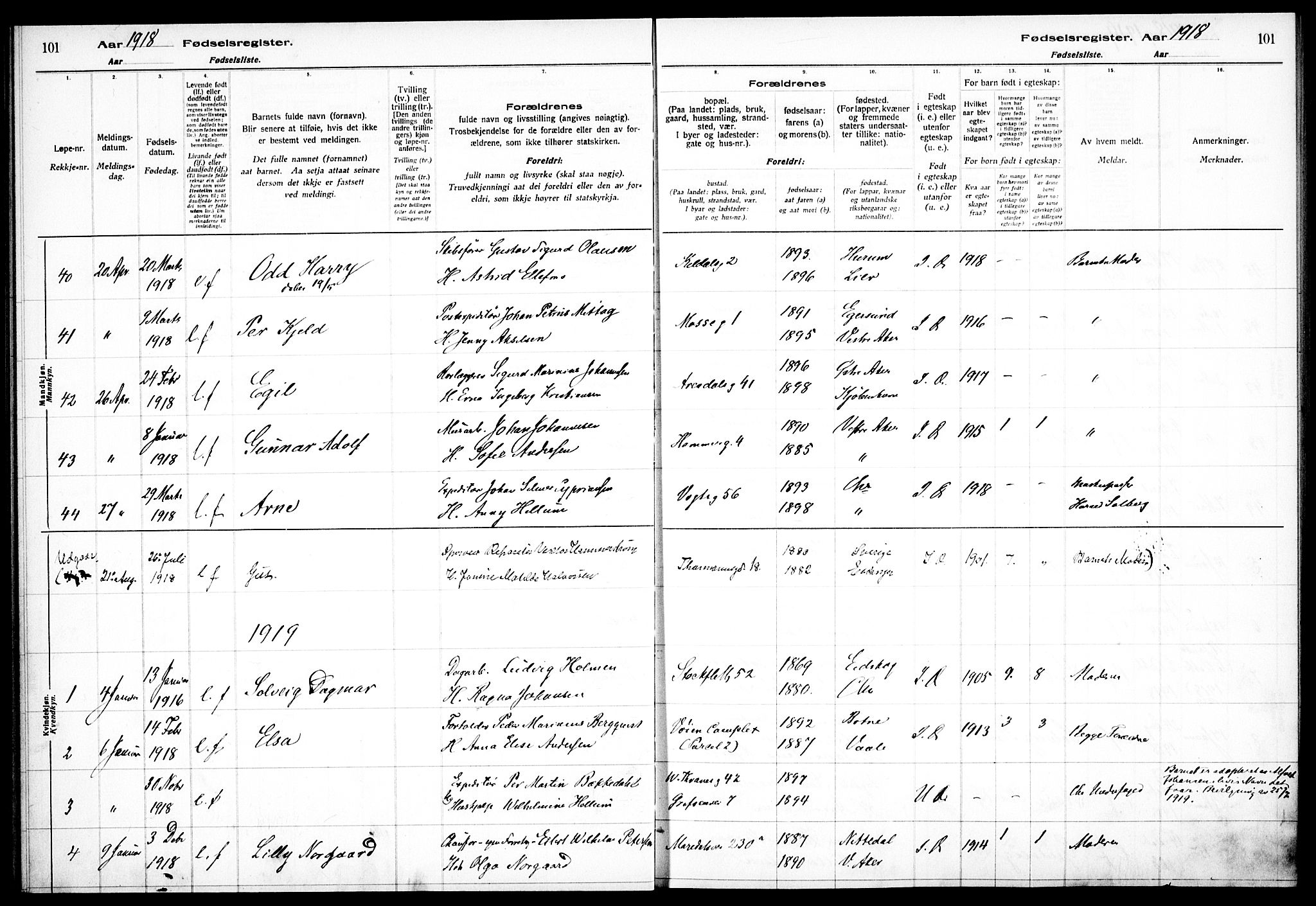 Sagene prestekontor Kirkebøker, SAO/A-10796/J/L0001: Fødselsregister nr. 1, 1916-1920, s. 101