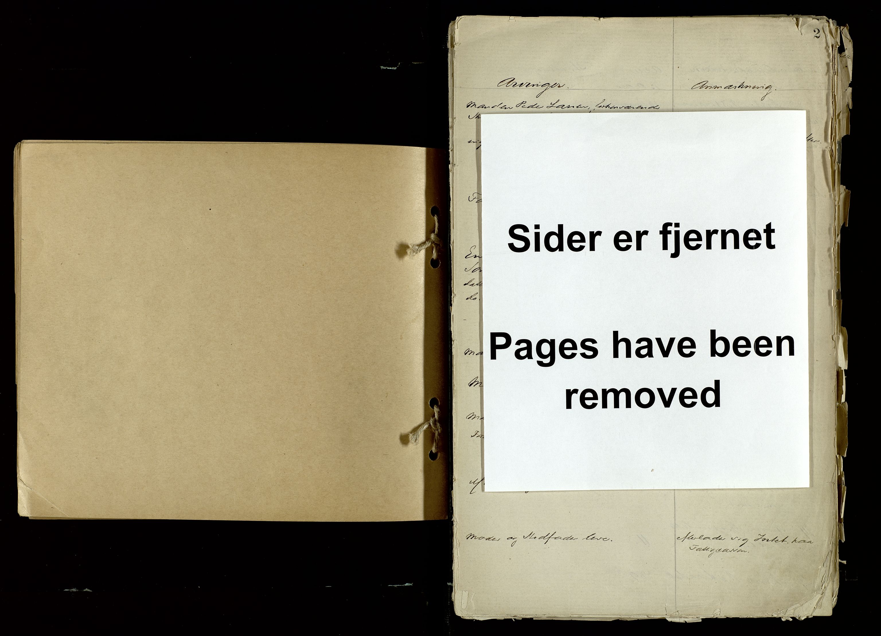 Søndeled lensmannskontor, AV/SAK-1241-0043/F/Fe/L0002/0001: Dødsfallsprotokoller / Dødsfallsprotokoll Risør med register, 1880-1913