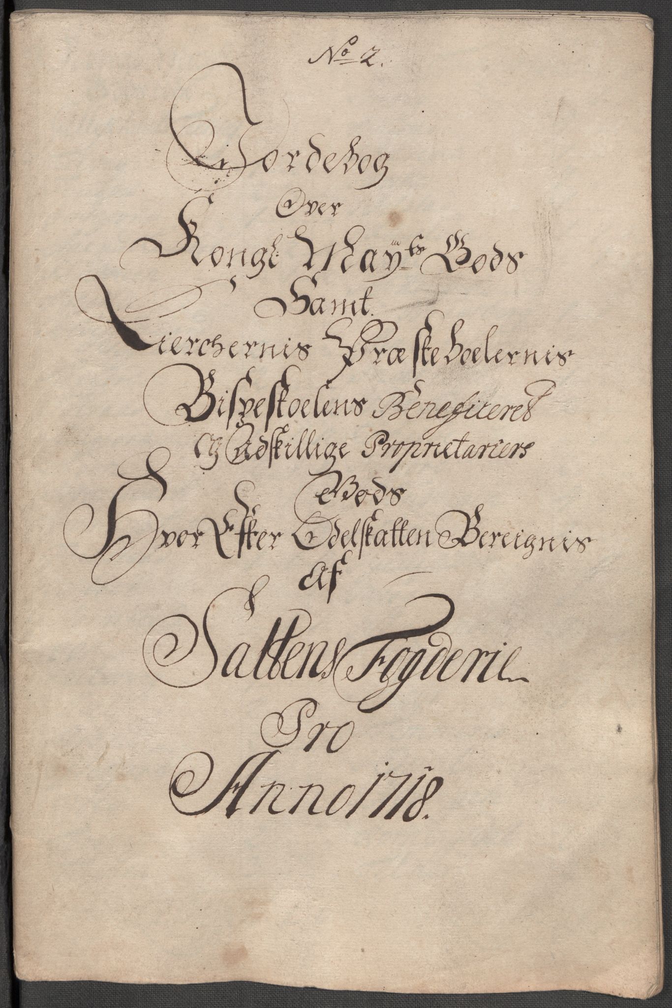 Rentekammeret inntil 1814, Reviderte regnskaper, Fogderegnskap, RA/EA-4092/R66/L4588: Fogderegnskap Salten, 1718, s. 392