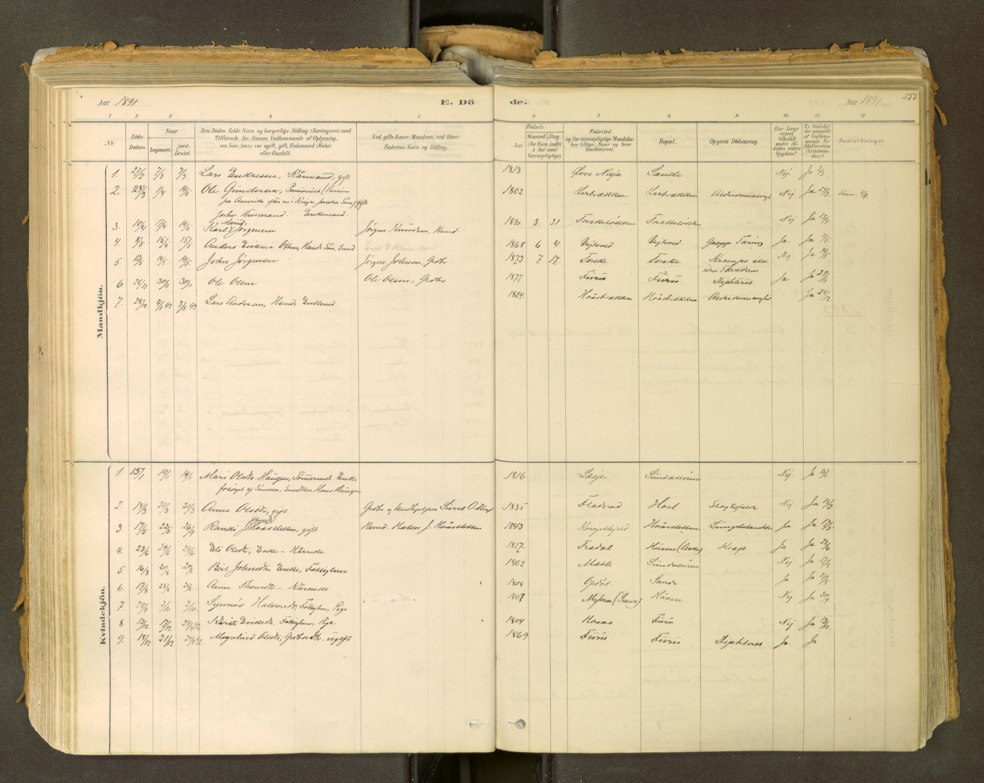 Sunndal sokneprestkontor, AV/SAT-A-1085/1/I/I1/I1a: Ministerialbok nr. 2, 1877-1914, s. 253