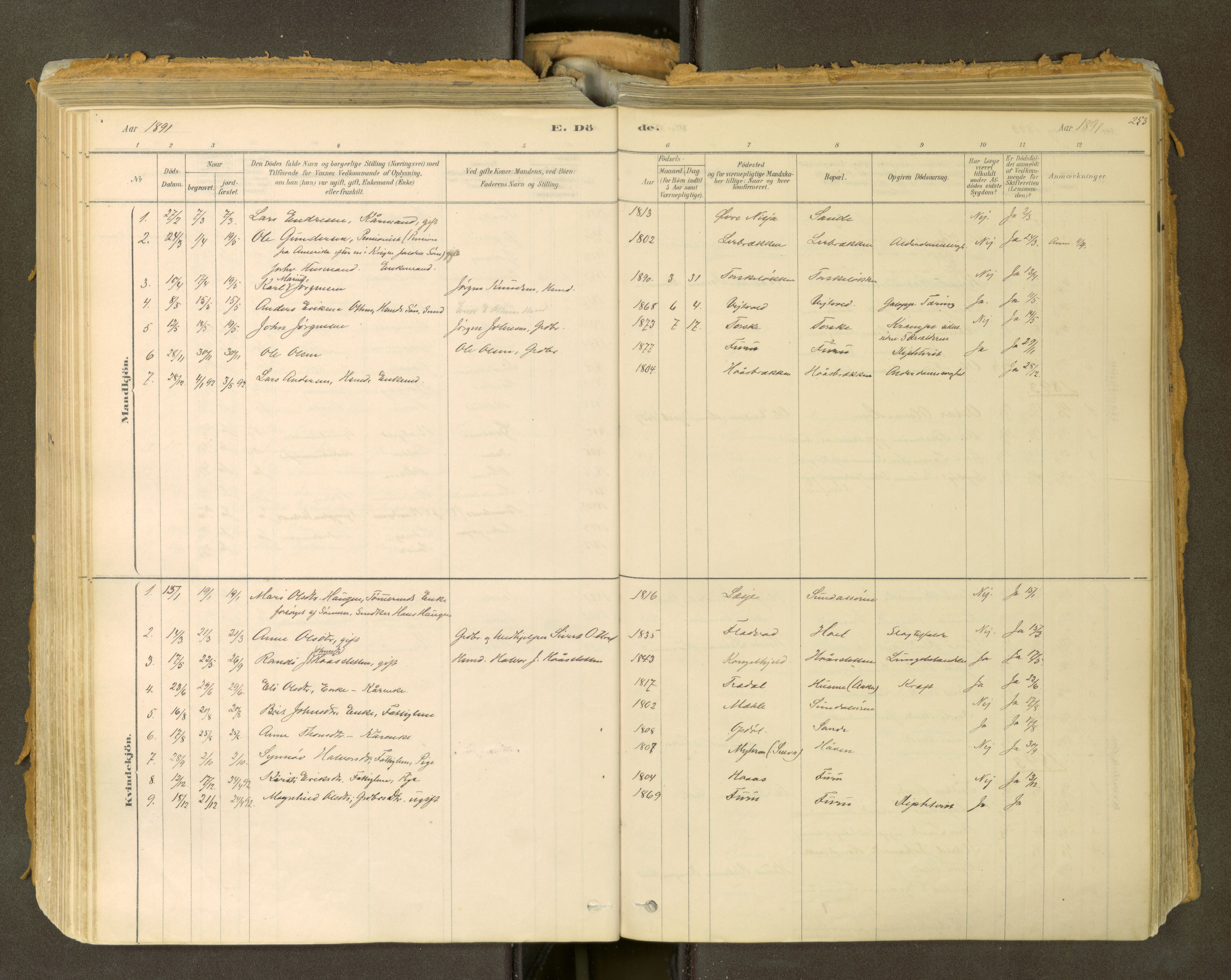 Sunndal sokneprestkontor, SAT/A-1085/1/I/I1/I1a: Ministerialbok nr. 2, 1877-1914, s. 253