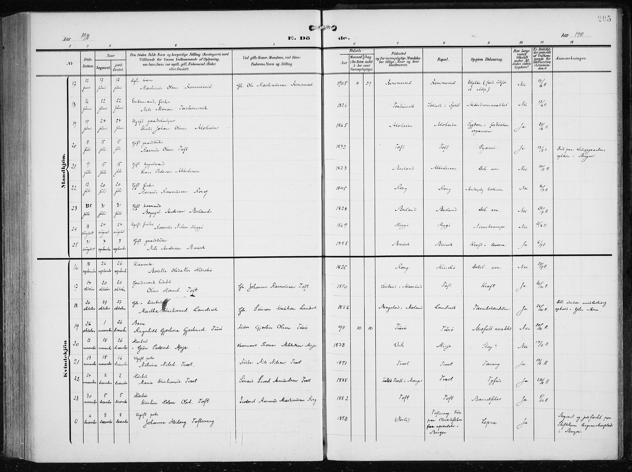 Herdla Sokneprestembete, AV/SAB-A-75701/H/Haa: Ministerialbok nr. A 5, 1905-1918, s. 205