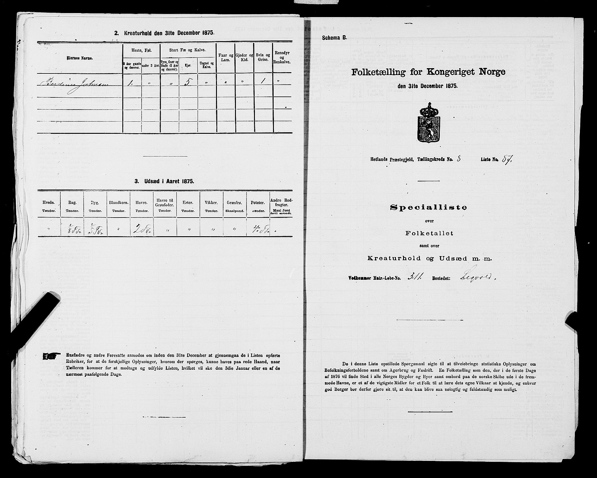 SAST, Folketelling 1875 for 1126P Hetland prestegjeld, 1875, s. 1794