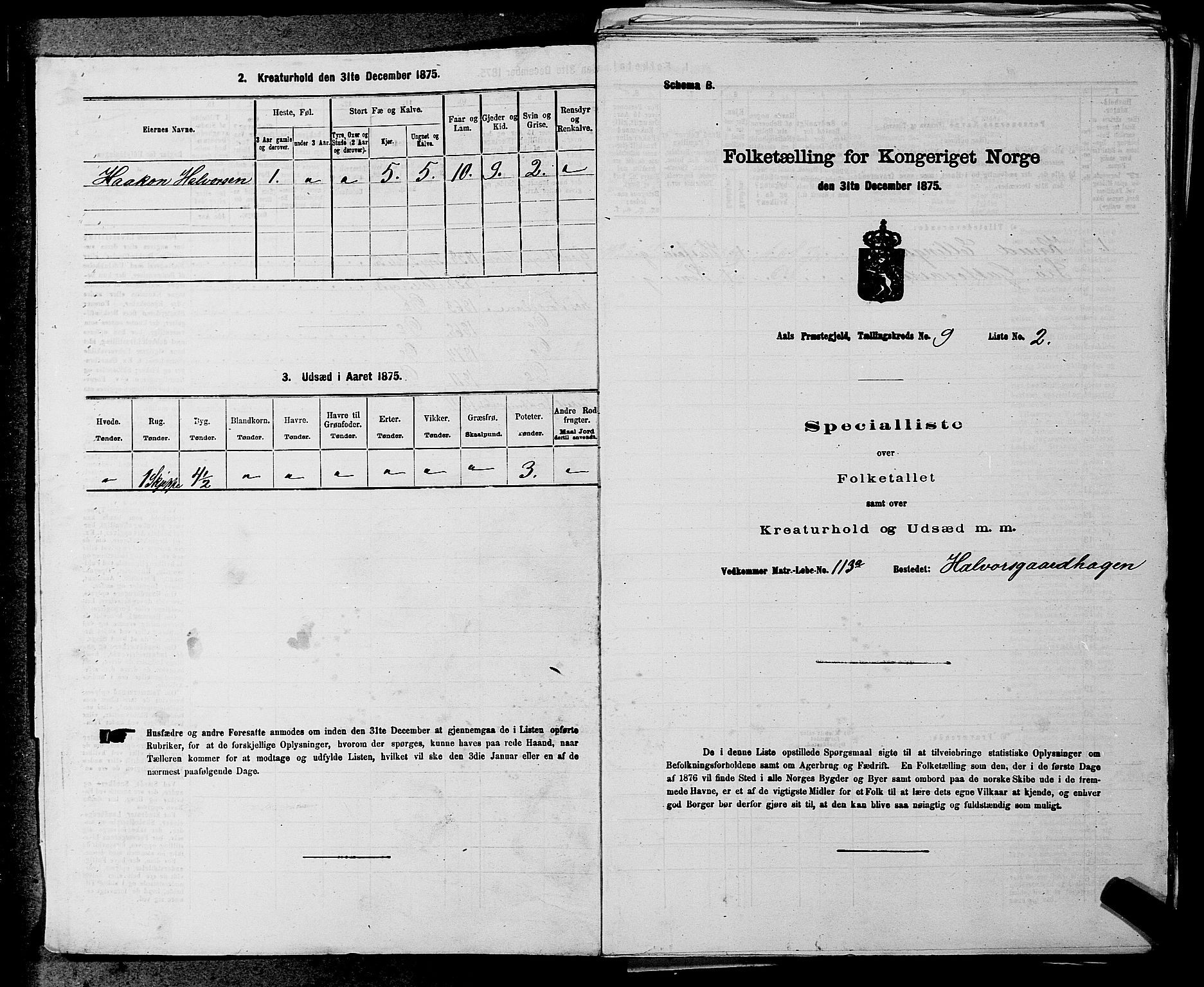 SAKO, Folketelling 1875 for 0619P Ål prestegjeld, 1875, s. 1093