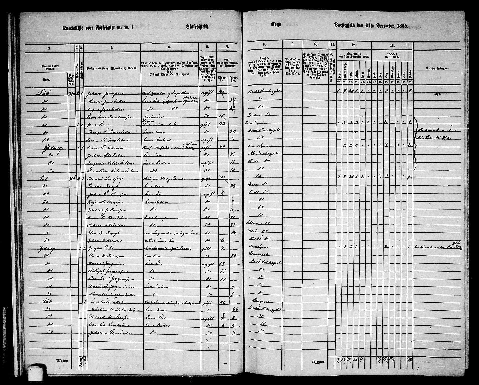 RA, Folketelling 1865 for 1843L Bodø prestegjeld, Bodø landsokn, 1865, s. 20