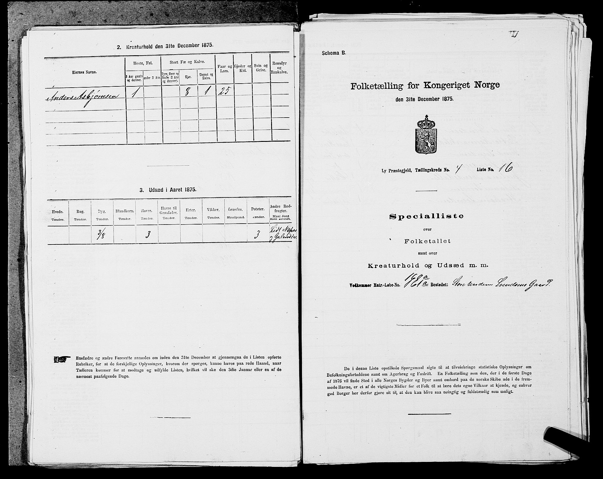 SAST, Folketelling 1875 for 1121P Lye prestegjeld, 1875, s. 503