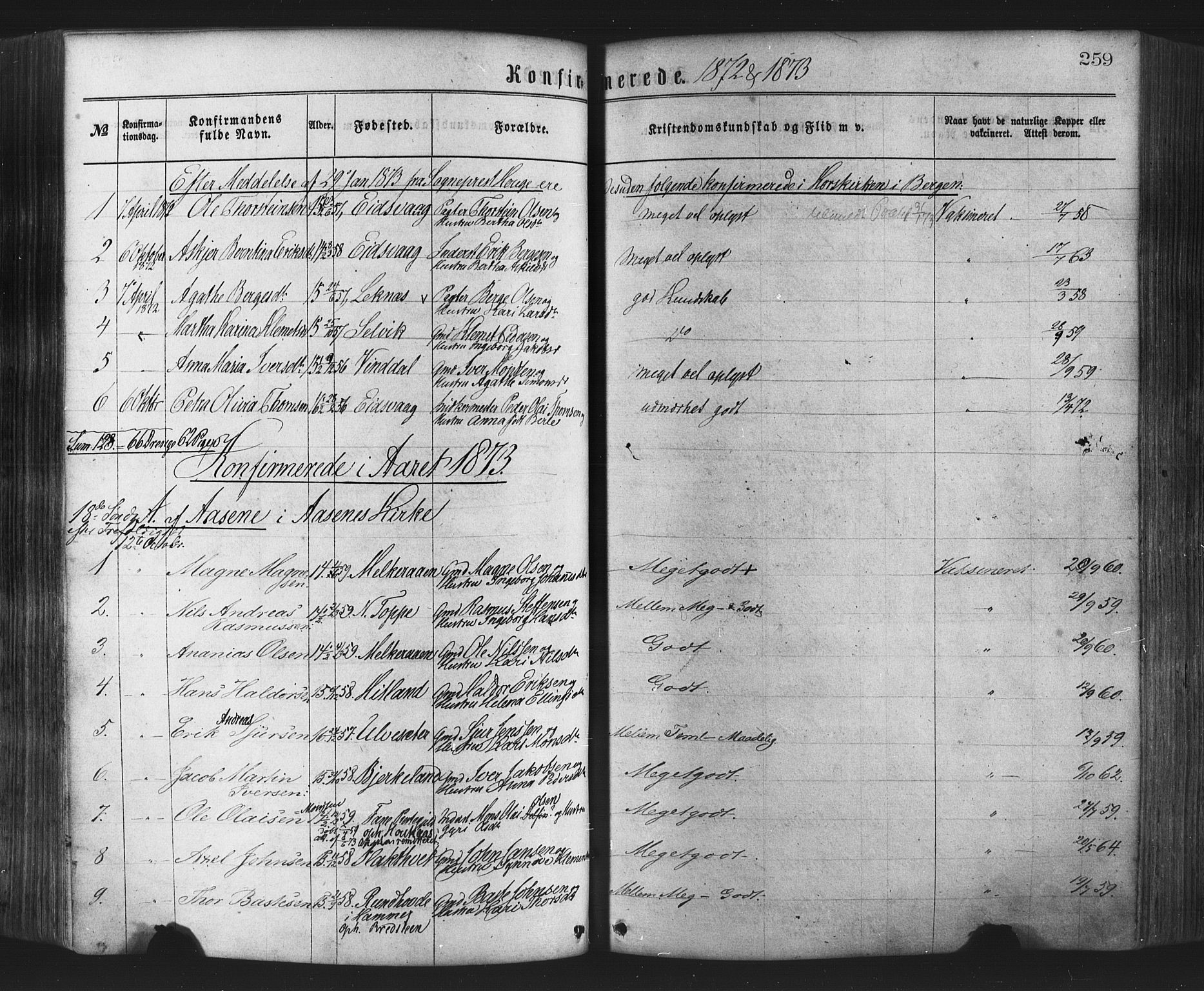Hamre sokneprestembete, AV/SAB-A-75501/H/Ha/Haa/Haaa/L0015: Ministerialbok nr. A 15, 1870-1881, s. 259