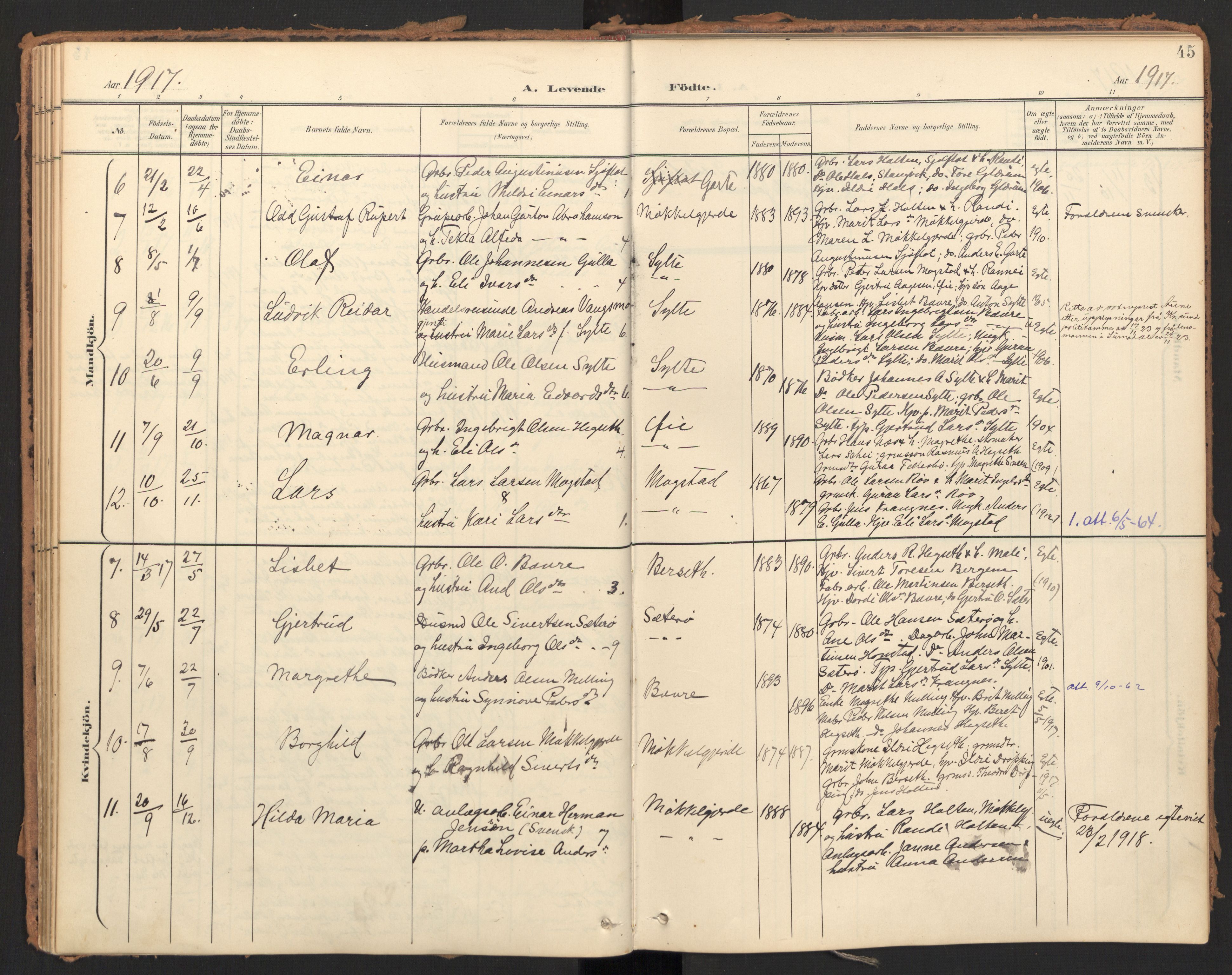 Ministerialprotokoller, klokkerbøker og fødselsregistre - Møre og Romsdal, AV/SAT-A-1454/595/L1048: Ministerialbok nr. 595A10, 1900-1917, s. 45