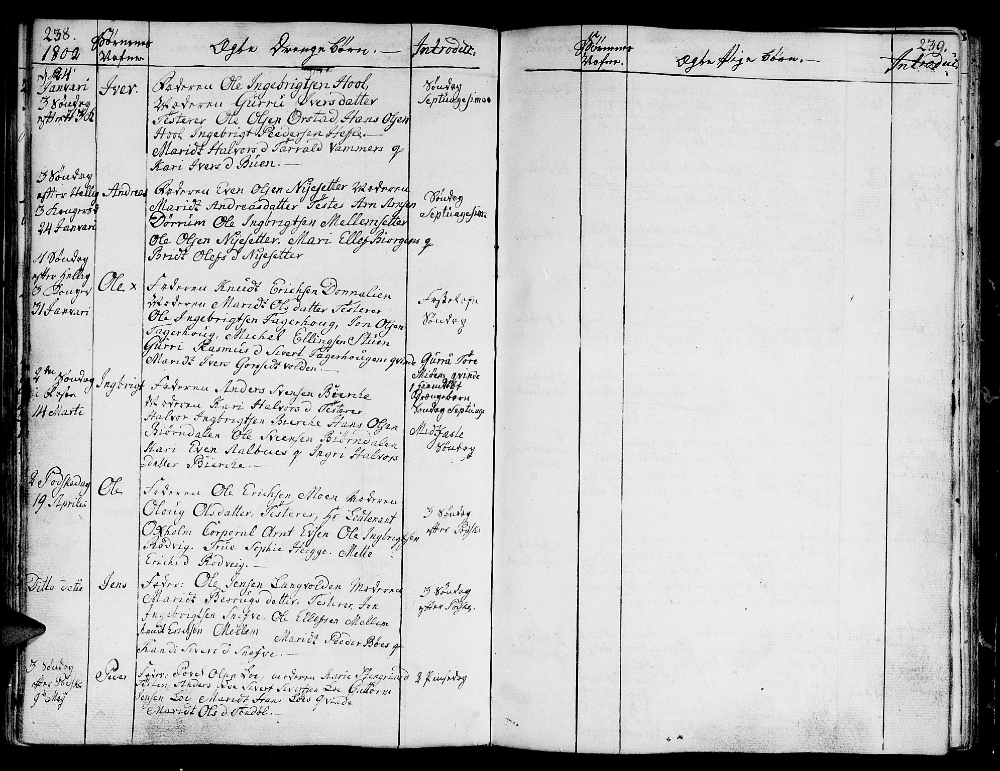 Ministerialprotokoller, klokkerbøker og fødselsregistre - Sør-Trøndelag, AV/SAT-A-1456/678/L0893: Ministerialbok nr. 678A03, 1792-1805, s. 238-239