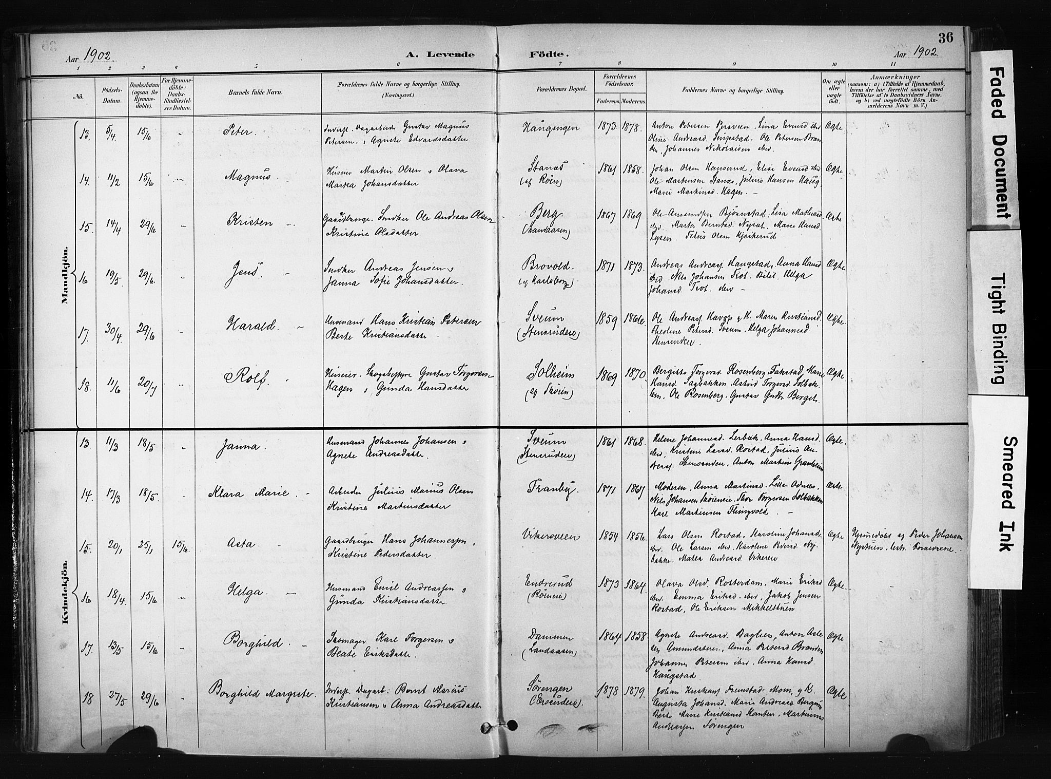 Søndre Land prestekontor, AV/SAH-PREST-122/K/L0004: Ministerialbok nr. 4, 1895-1904, s. 36