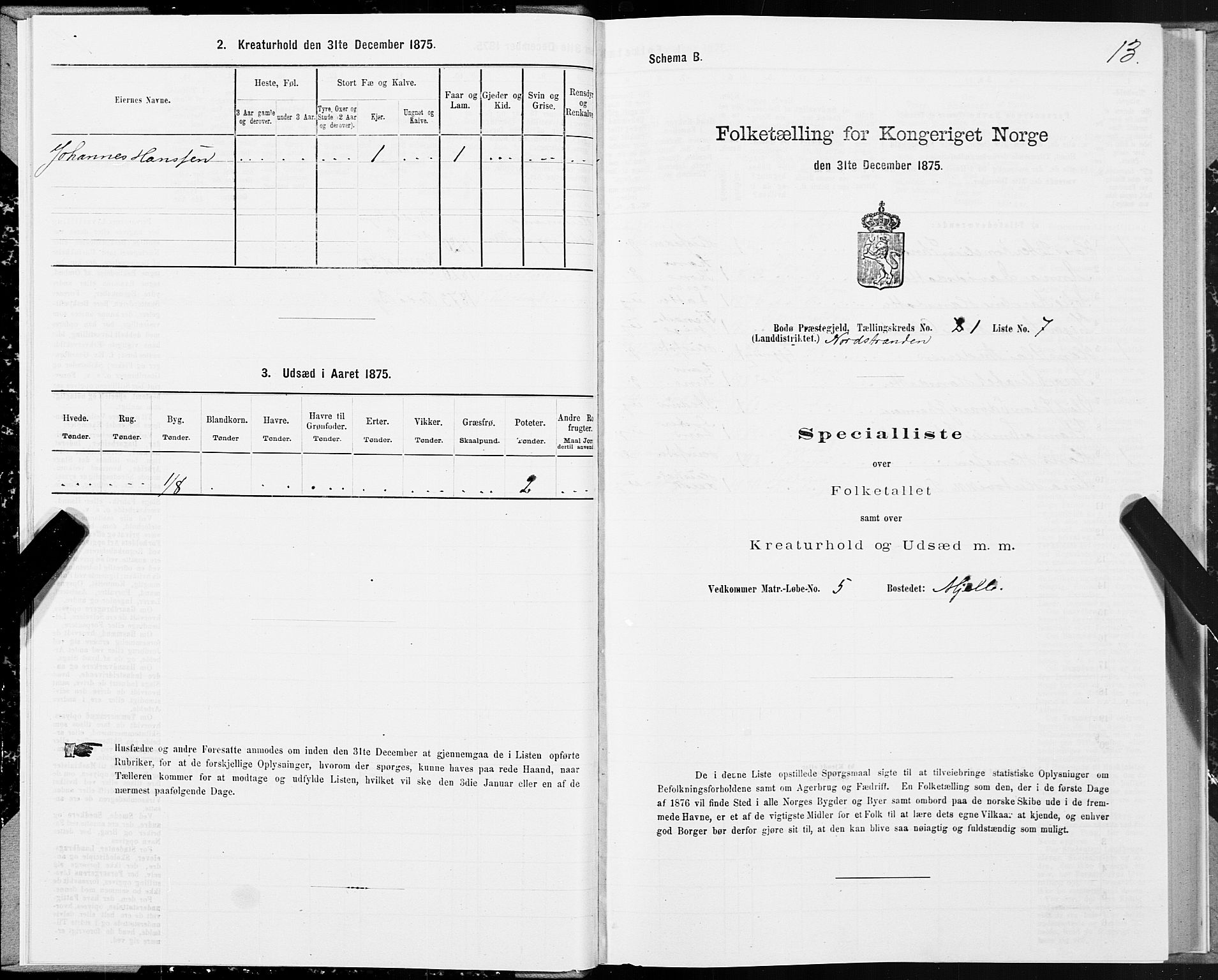 SAT, Folketelling 1875 for 1843L Bodø prestegjeld, Bodø landsokn, 1875, s. 1013