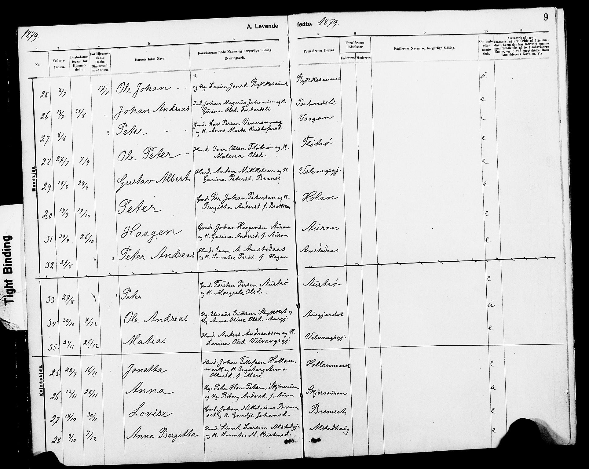 Ministerialprotokoller, klokkerbøker og fødselsregistre - Nord-Trøndelag, SAT/A-1458/712/L0103: Klokkerbok nr. 712C01, 1878-1917, s. 9