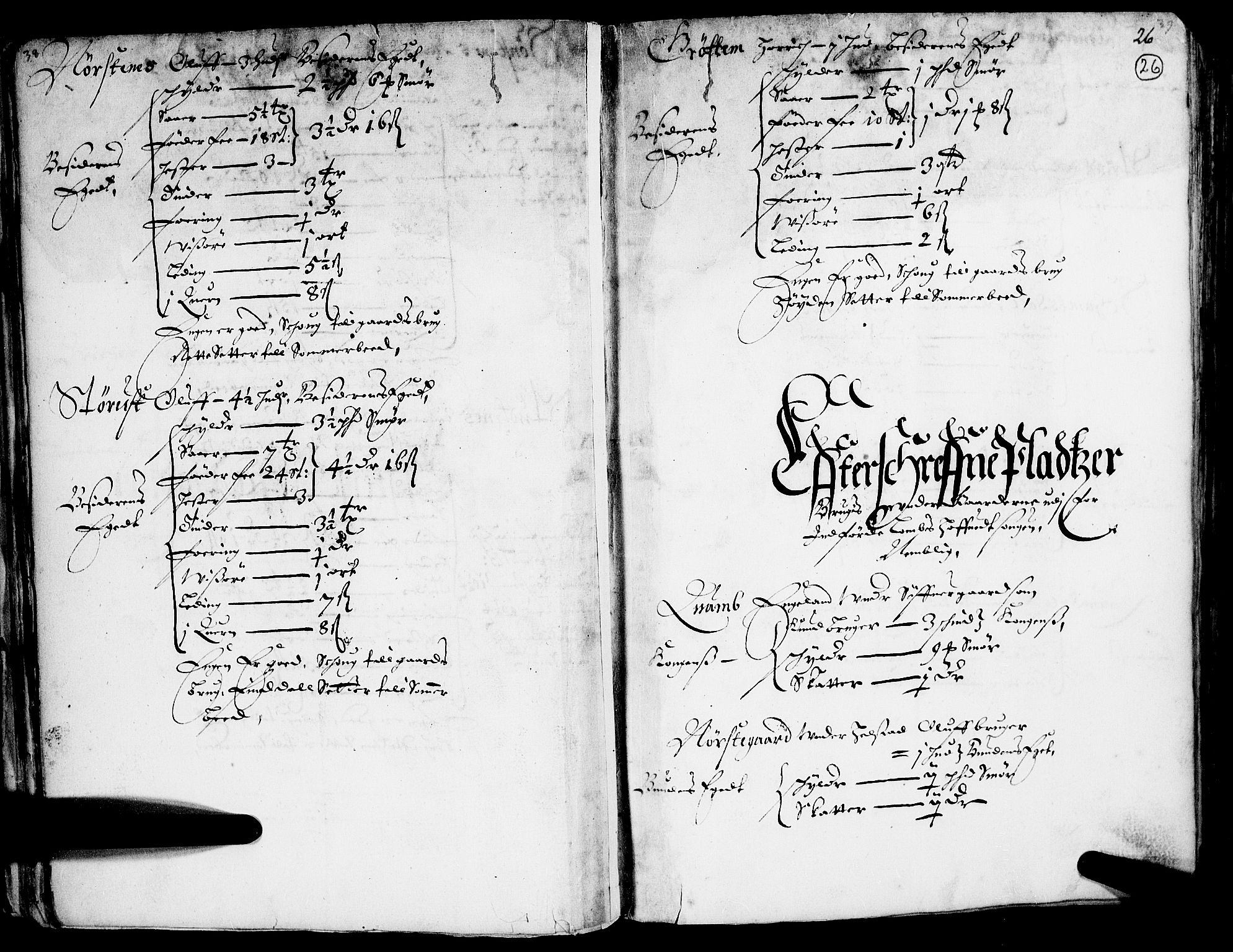 Rentekammeret inntil 1814, Realistisk ordnet avdeling, RA/EA-4070/N/Nb/Nba/L0014: Gudbrandsdalen fogderi, 1. del, 1668, s. 25b-26a