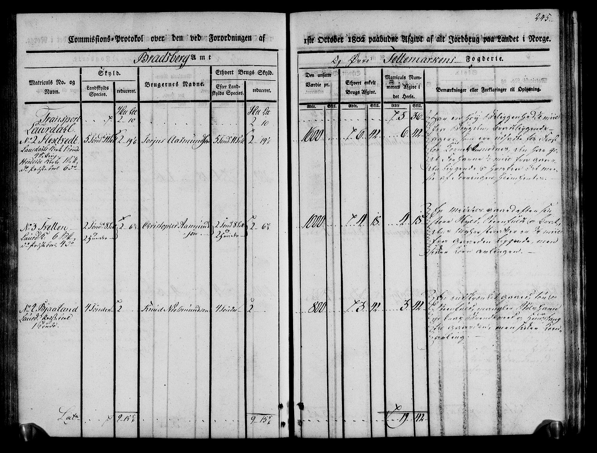 Rentekammeret inntil 1814, Realistisk ordnet avdeling, RA/EA-4070/N/Ne/Nea/L0075: Øvre Telemarken fogderi. Kommisjonsprotokoll for fogderiets vestre del - Kviteseid, Vinje, Moland [):Fyresdal] og Lårdal prestegjeld., 1803, s. 247