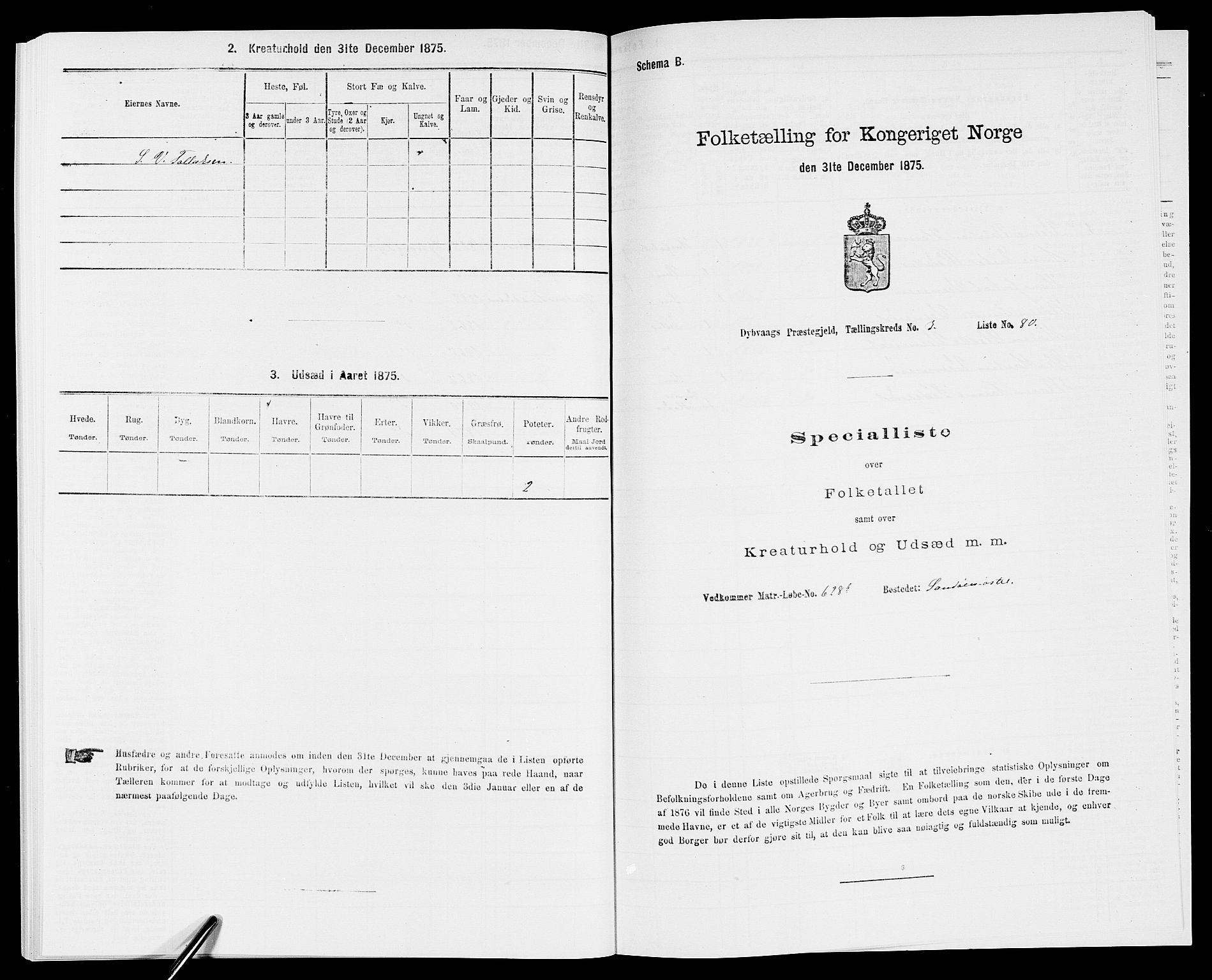 SAK, Folketelling 1875 for 0915P Dypvåg prestegjeld, 1875, s. 418