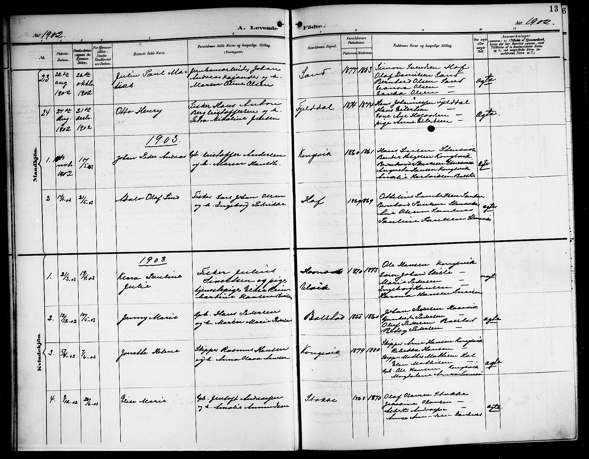 Ministerialprotokoller, klokkerbøker og fødselsregistre - Nordland, SAT/A-1459/865/L0932: Klokkerbok nr. 865C04, 1901-1917, s. 13