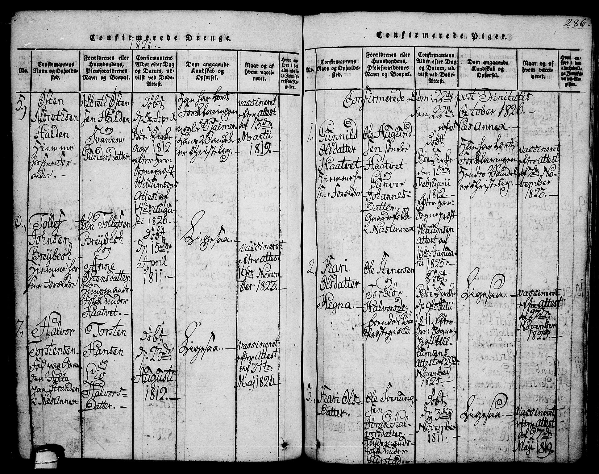 Sauherad kirkebøker, SAKO/A-298/G/Ga/L0001: Klokkerbok nr. I 1, 1815-1827, s. 286