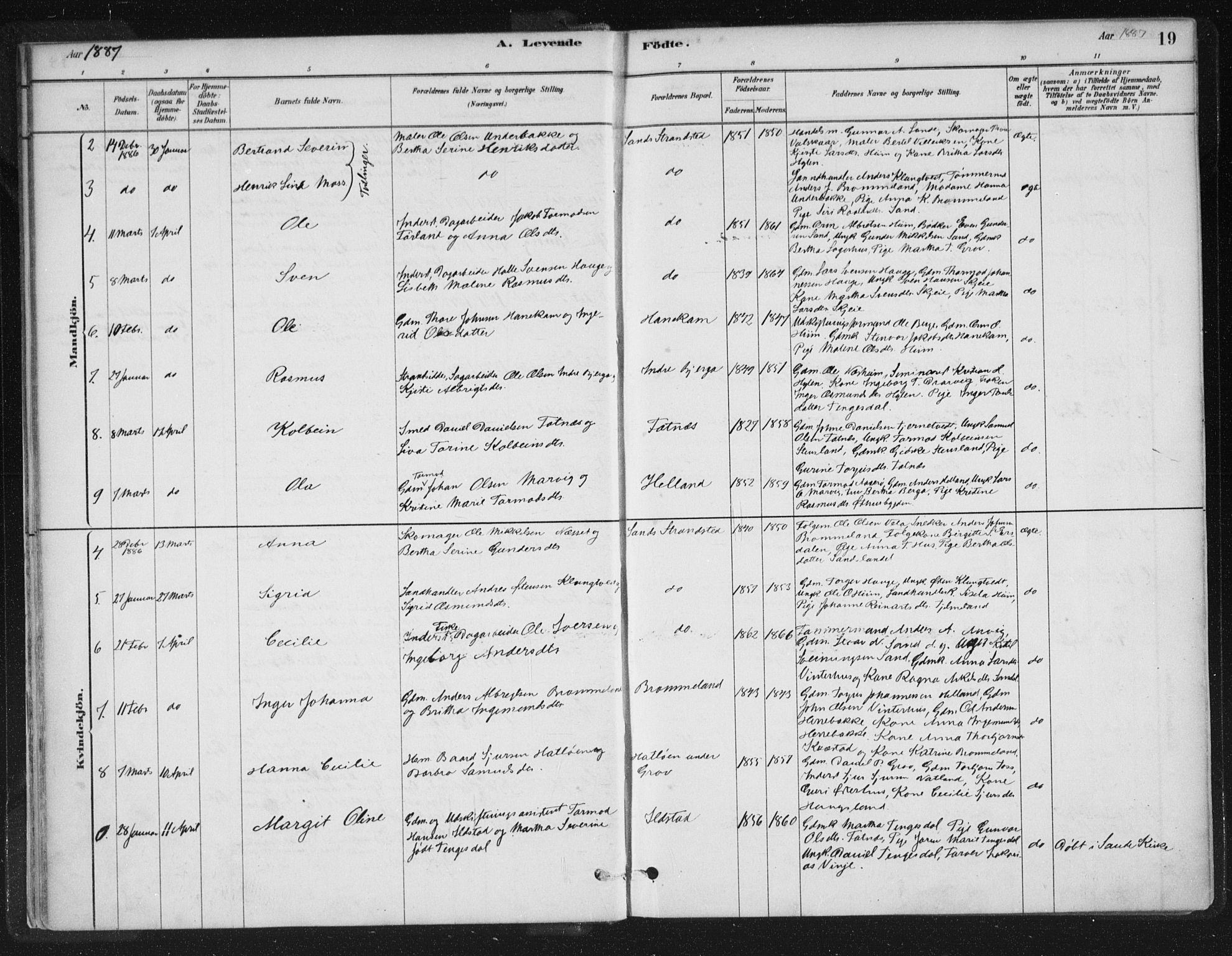 Sand sokneprestkontor, AV/SAST-A-101848/01/III/L0005: Ministerialbok nr. A 5, 1880-1898, s. 19