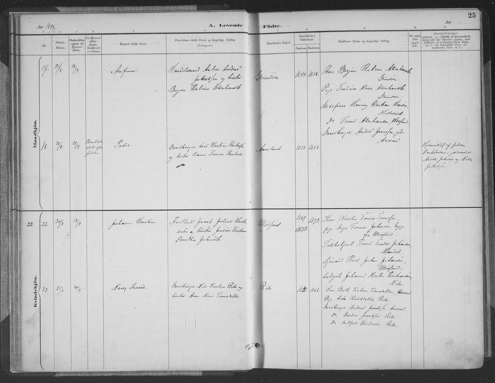 Høvåg sokneprestkontor, AV/SAK-1111-0025/F/Fa/L0006: Ministerialbok nr. A 6, 1894-1923, s. 25