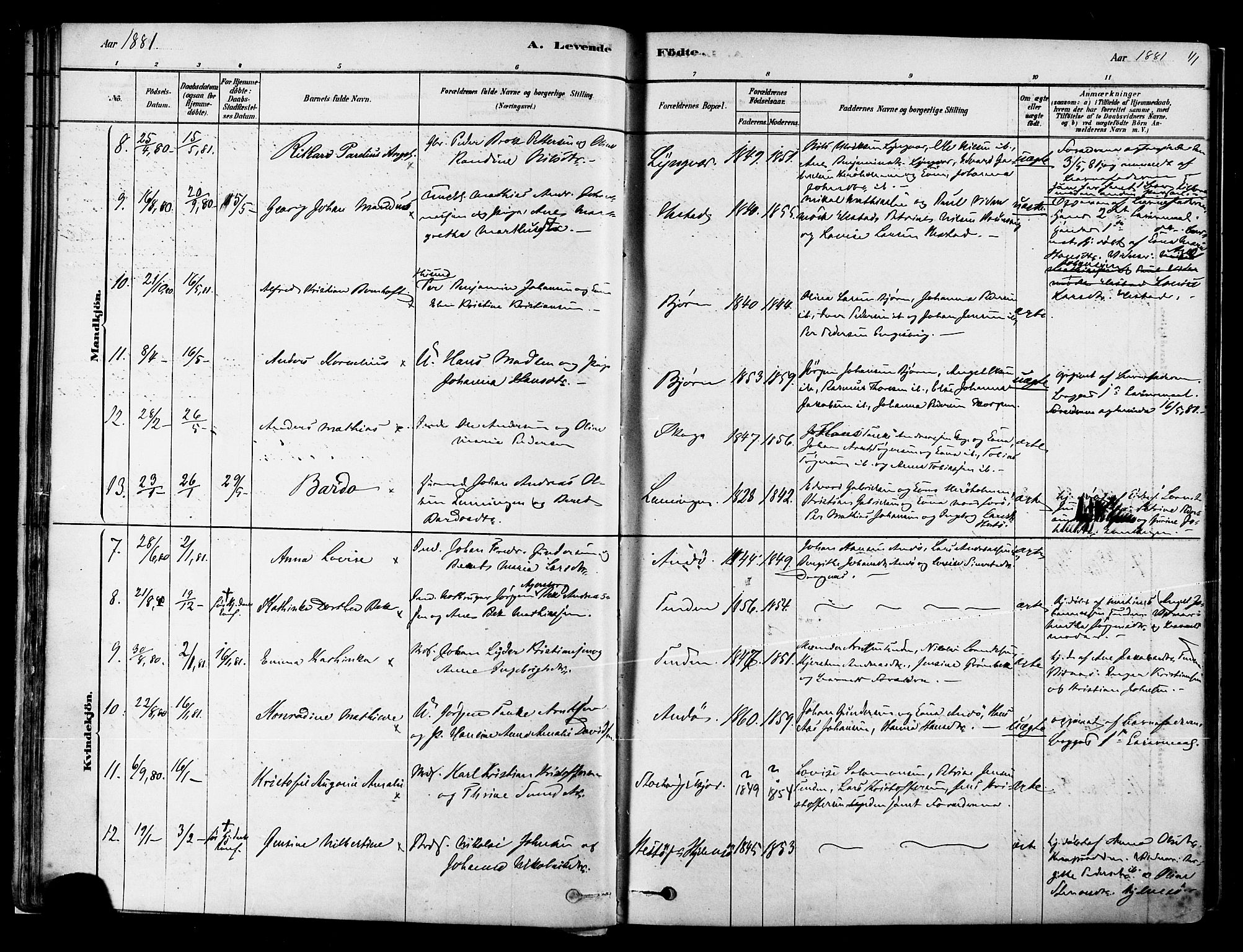 Ministerialprotokoller, klokkerbøker og fødselsregistre - Nordland, AV/SAT-A-1459/834/L0507: Ministerialbok nr. 834A05, 1878-1892, s. 41