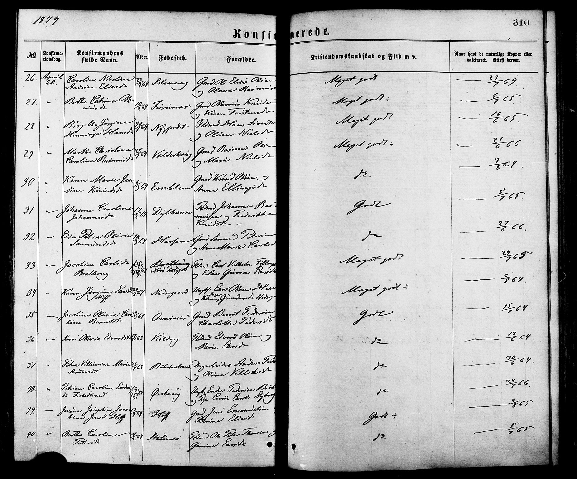 Ministerialprotokoller, klokkerbøker og fødselsregistre - Møre og Romsdal, AV/SAT-A-1454/528/L0400: Ministerialbok nr. 528A11, 1871-1879, s. 310