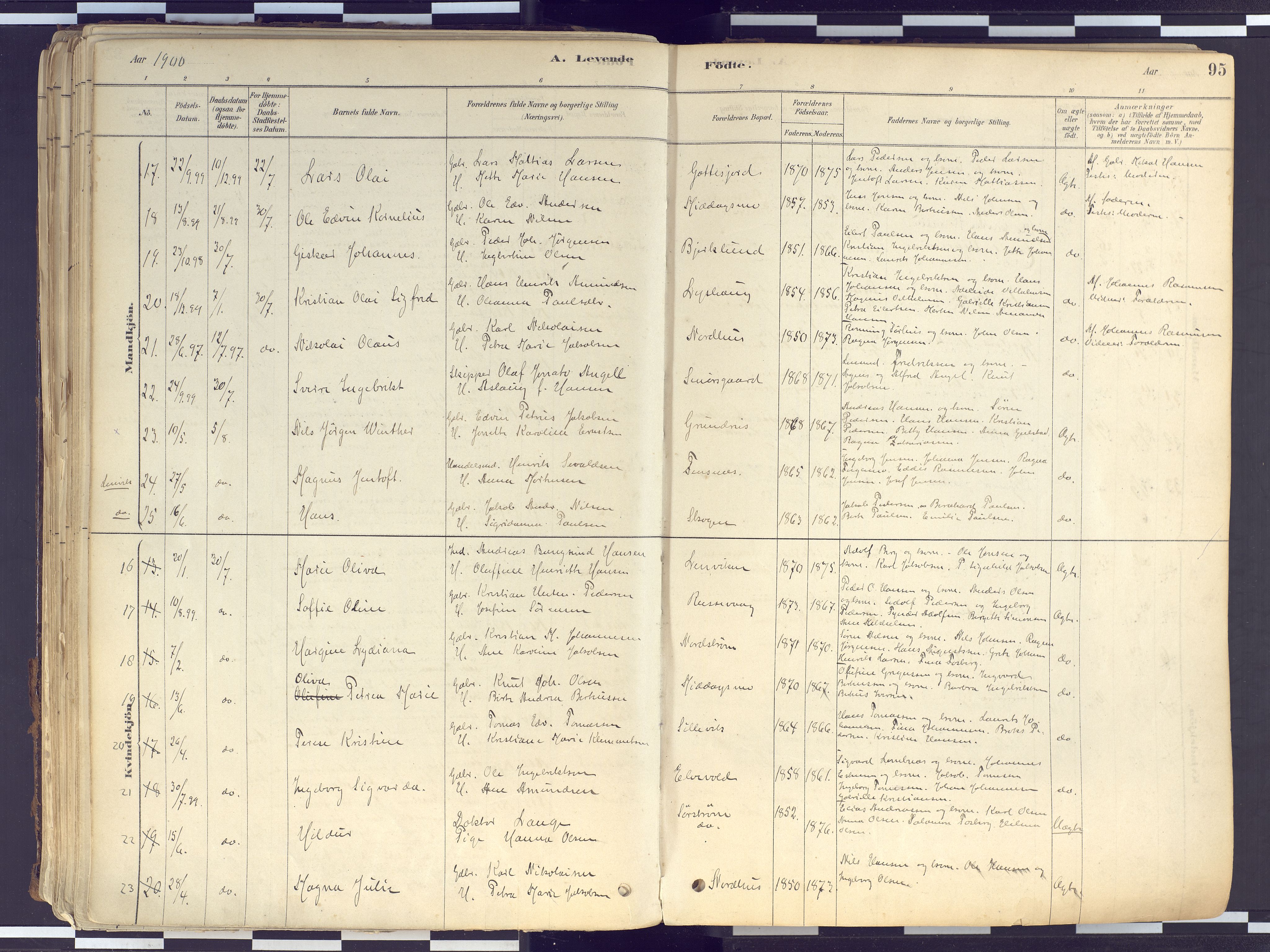 Tranøy sokneprestkontor, AV/SATØ-S-1313/I/Ia/Iaa/L0010kirke: Ministerialbok nr. 10, 1878-1904, s. 95