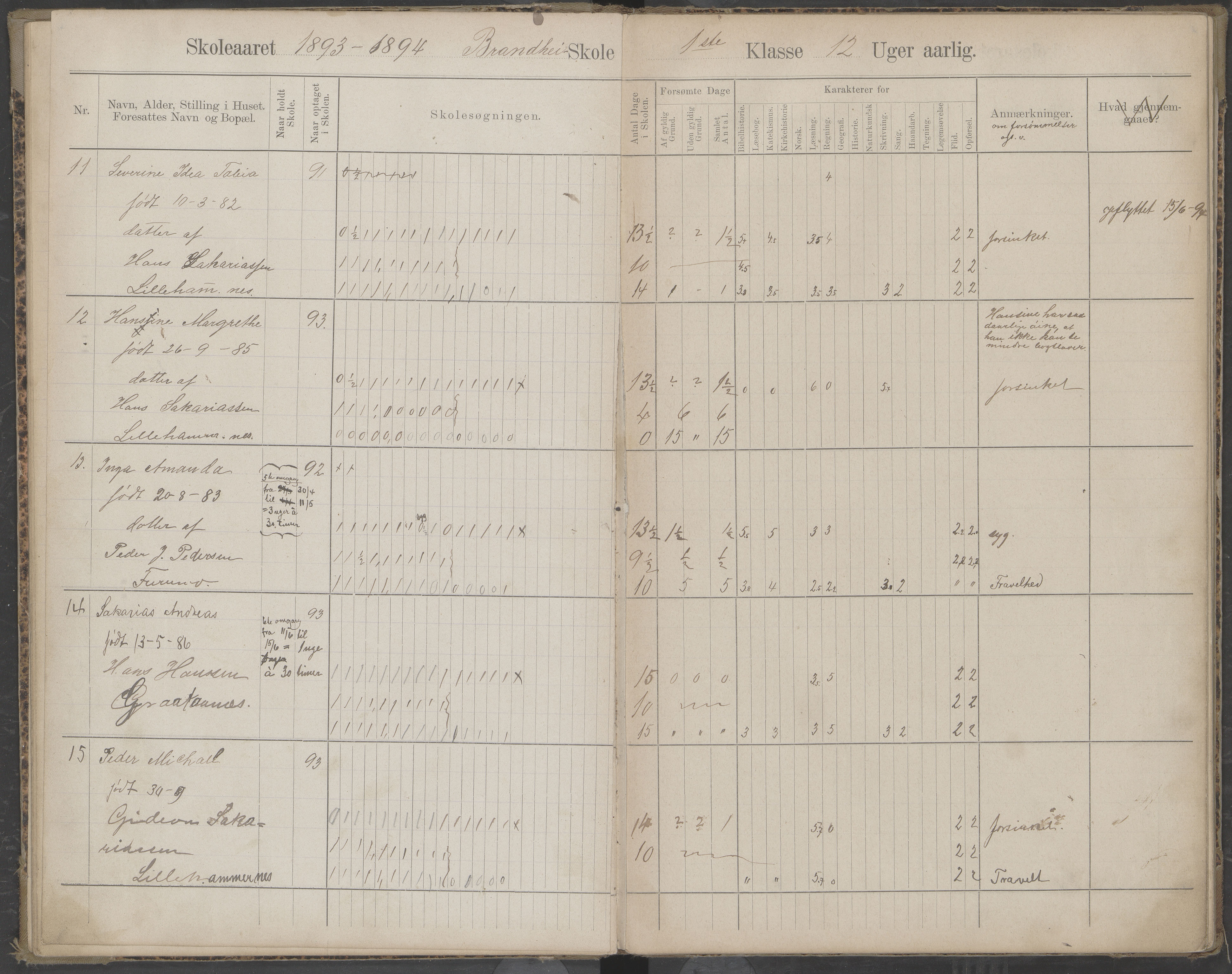 Beiarn kommune. Brandhei skolekrets, AIN/K-18390.510.03/442/L0003: Karakter/oversiktsprotokoll, 1893-1910