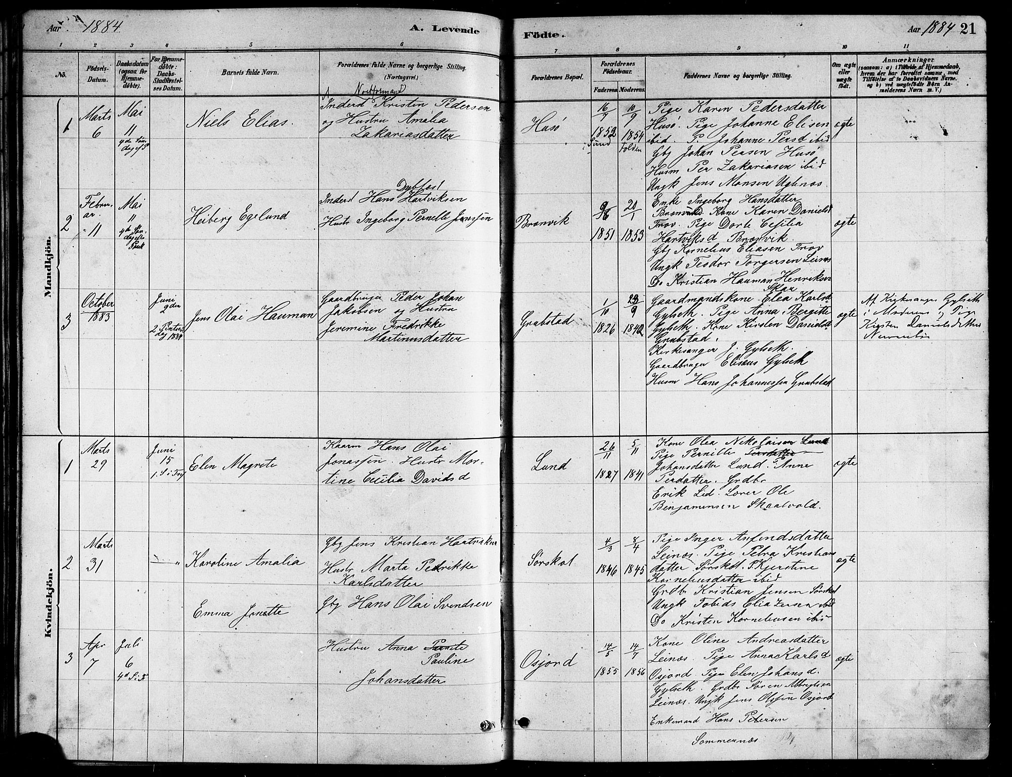 Ministerialprotokoller, klokkerbøker og fødselsregistre - Nordland, AV/SAT-A-1459/857/L0828: Klokkerbok nr. 857C03, 1879-1908, s. 21