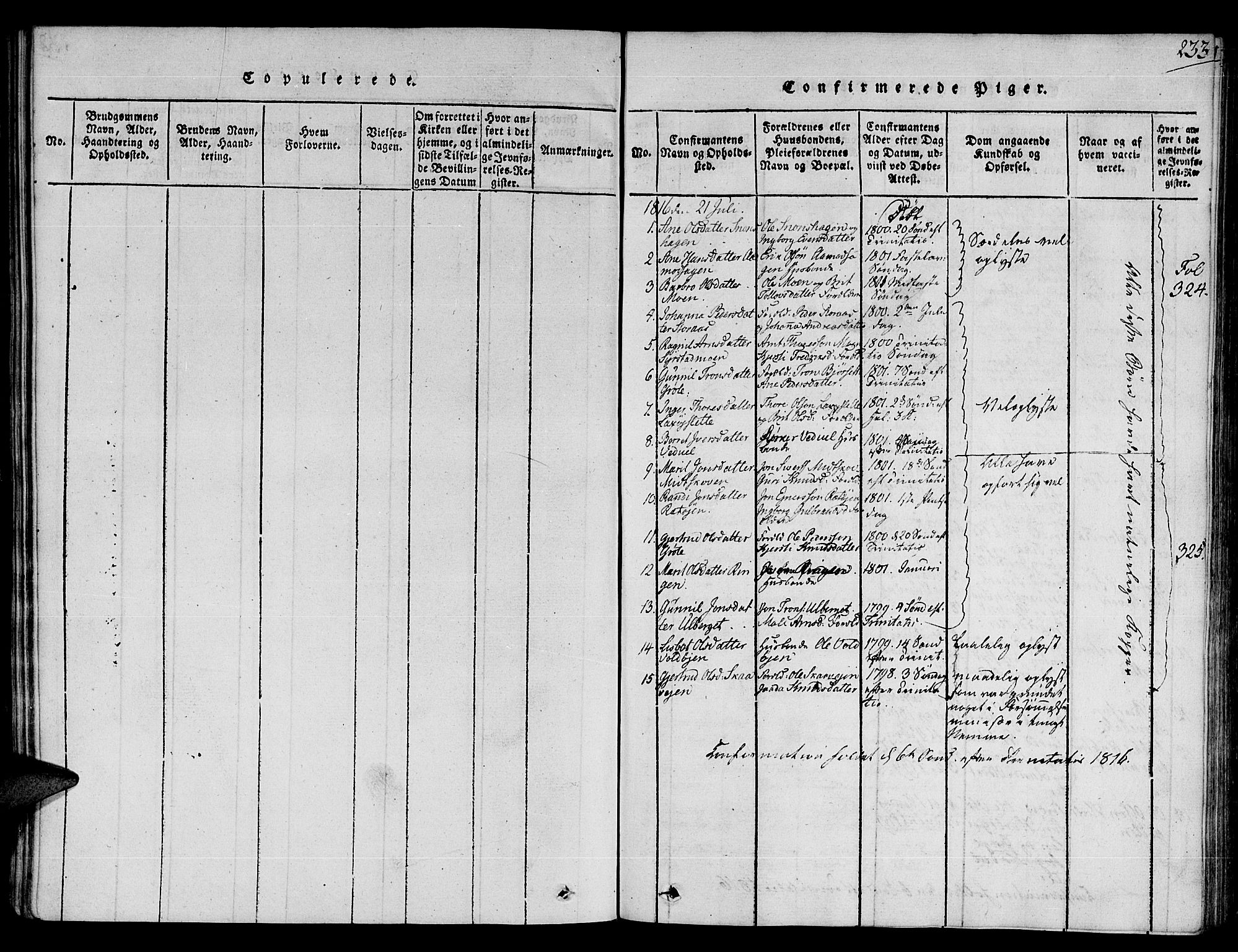 Ministerialprotokoller, klokkerbøker og fødselsregistre - Sør-Trøndelag, AV/SAT-A-1456/672/L0853: Ministerialbok nr. 672A06 /1, 1816-1829, s. 233