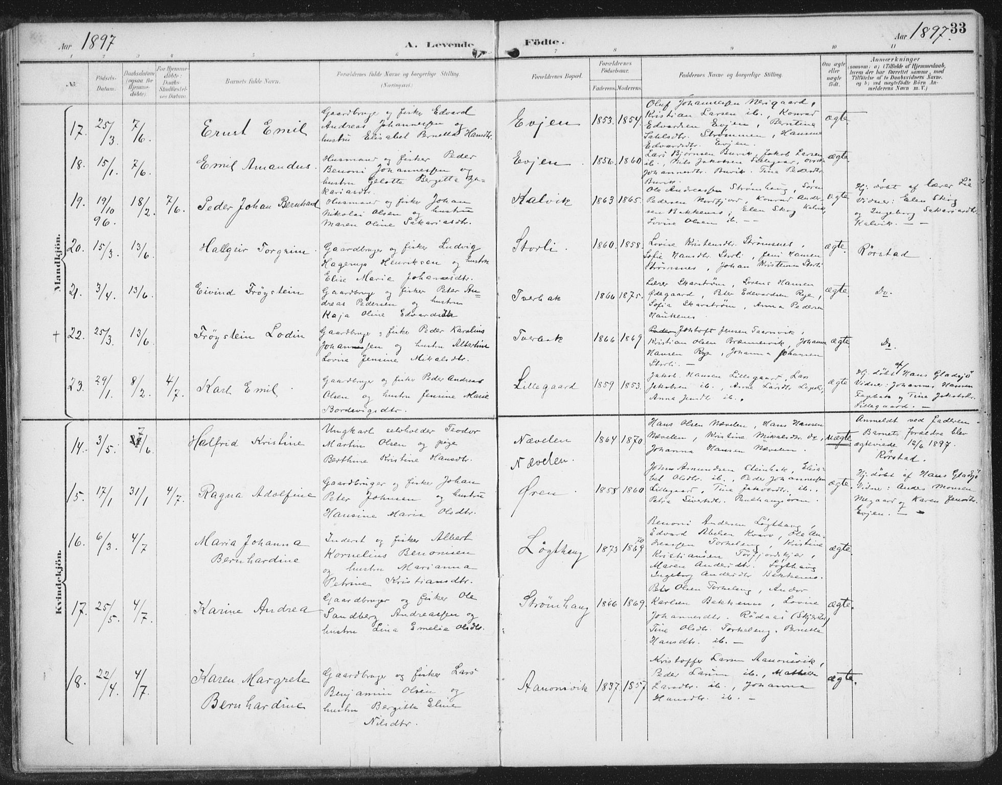 Ministerialprotokoller, klokkerbøker og fødselsregistre - Nordland, AV/SAT-A-1459/854/L0779: Ministerialbok nr. 854A02, 1892-1909, s. 33