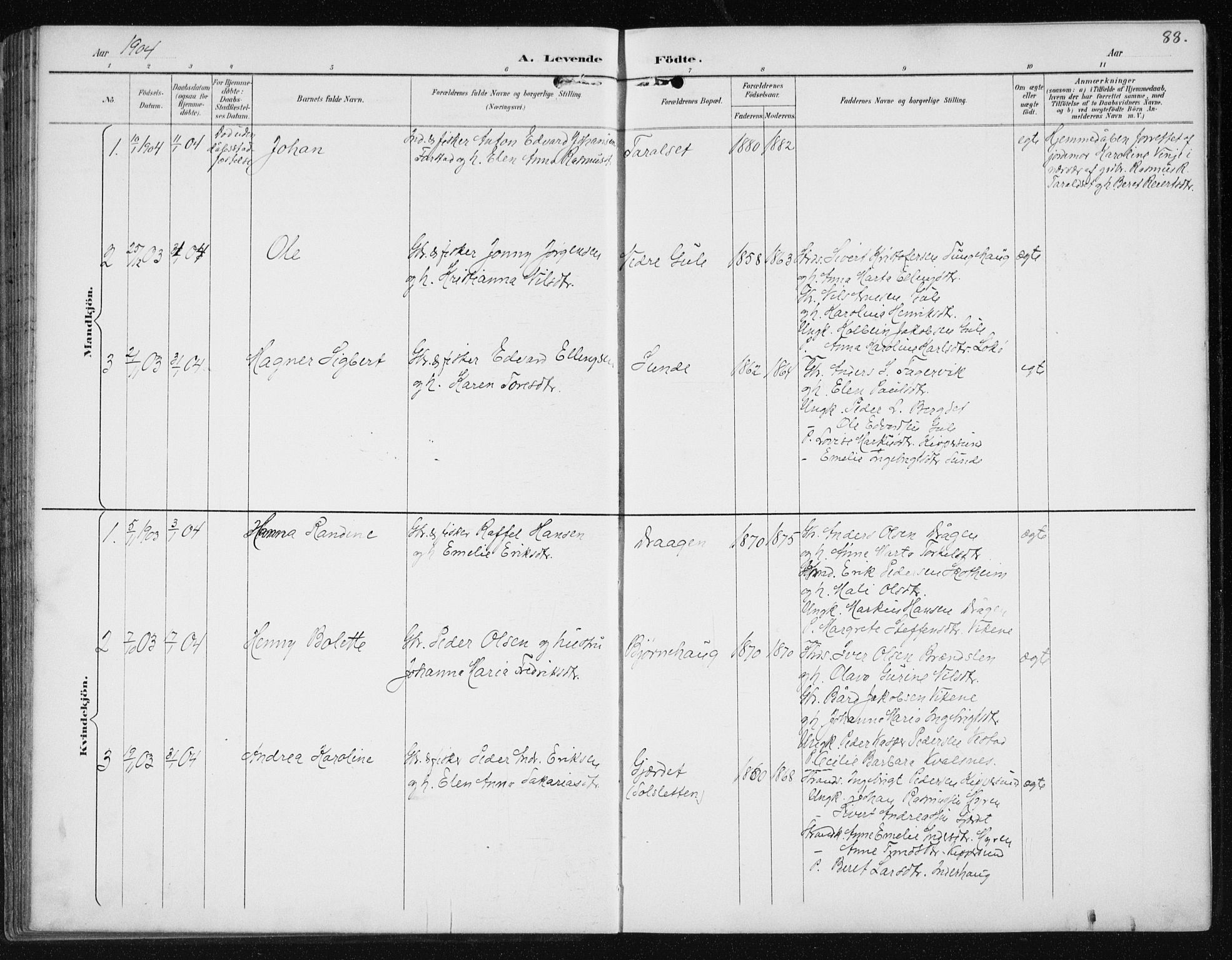 Ministerialprotokoller, klokkerbøker og fødselsregistre - Møre og Romsdal, SAT/A-1454/566/L0773: Klokkerbok nr. 566C02, 1892-1909, s. 88