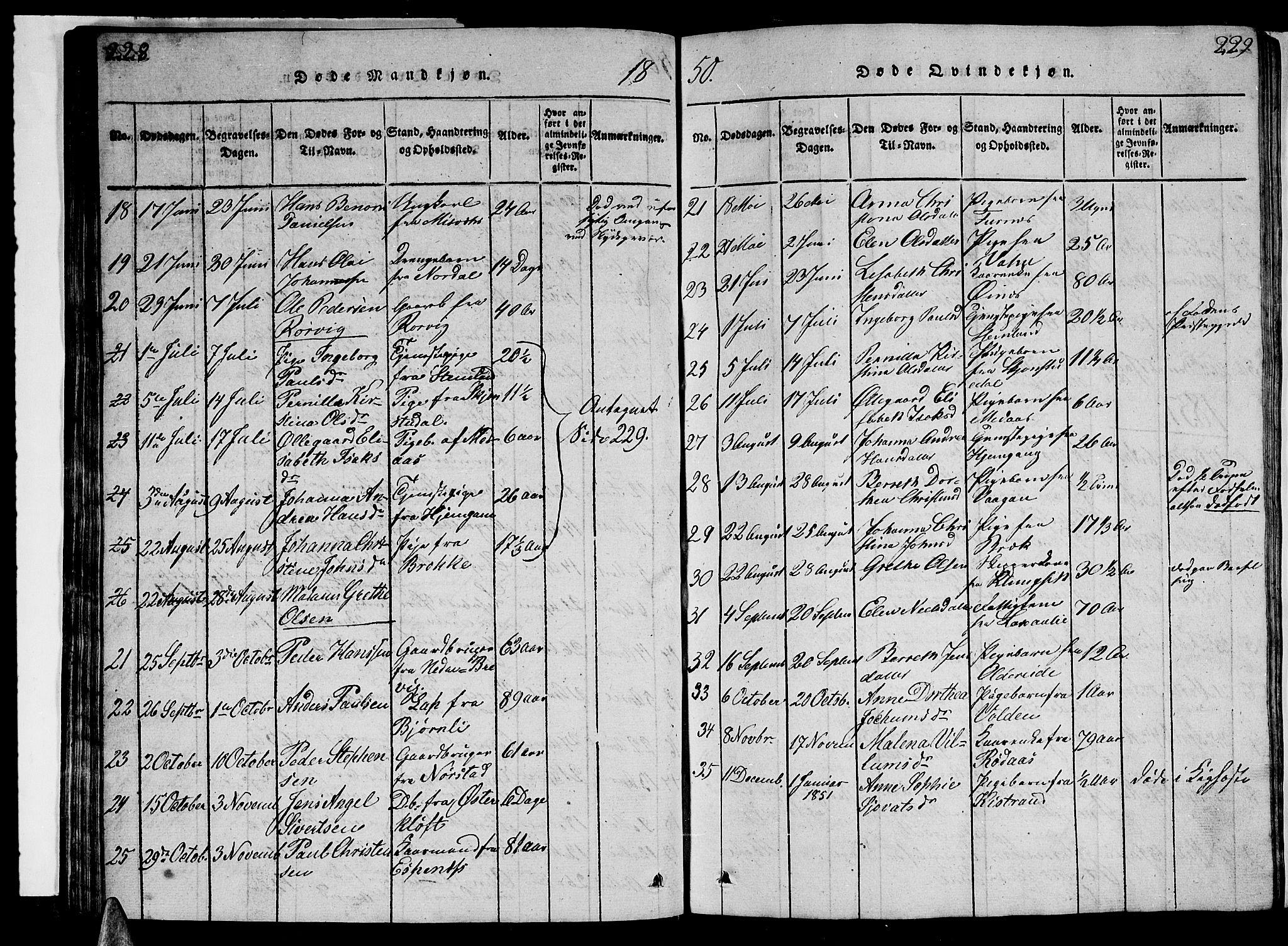 Ministerialprotokoller, klokkerbøker og fødselsregistre - Nordland, AV/SAT-A-1459/852/L0752: Klokkerbok nr. 852C03, 1840-1855, s. 228-229