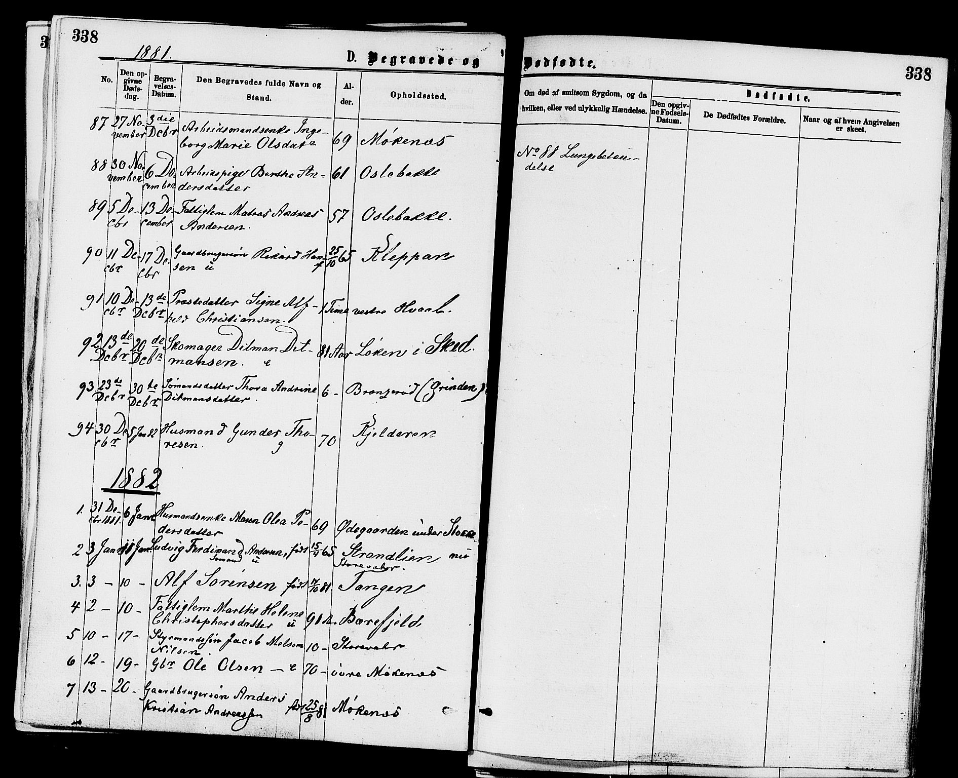 Stokke kirkebøker, AV/SAKO-A-320/F/Fa/L0009: Ministerialbok nr. I 9, 1872-1883, s. 338