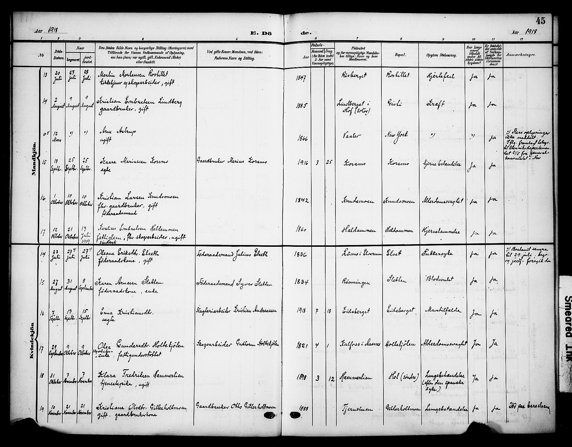 Våler prestekontor, Hedmark, SAH/PREST-040/H/Ha/Haa/L0007: Ministerialbok nr. 7, 1908-1919, s. 45