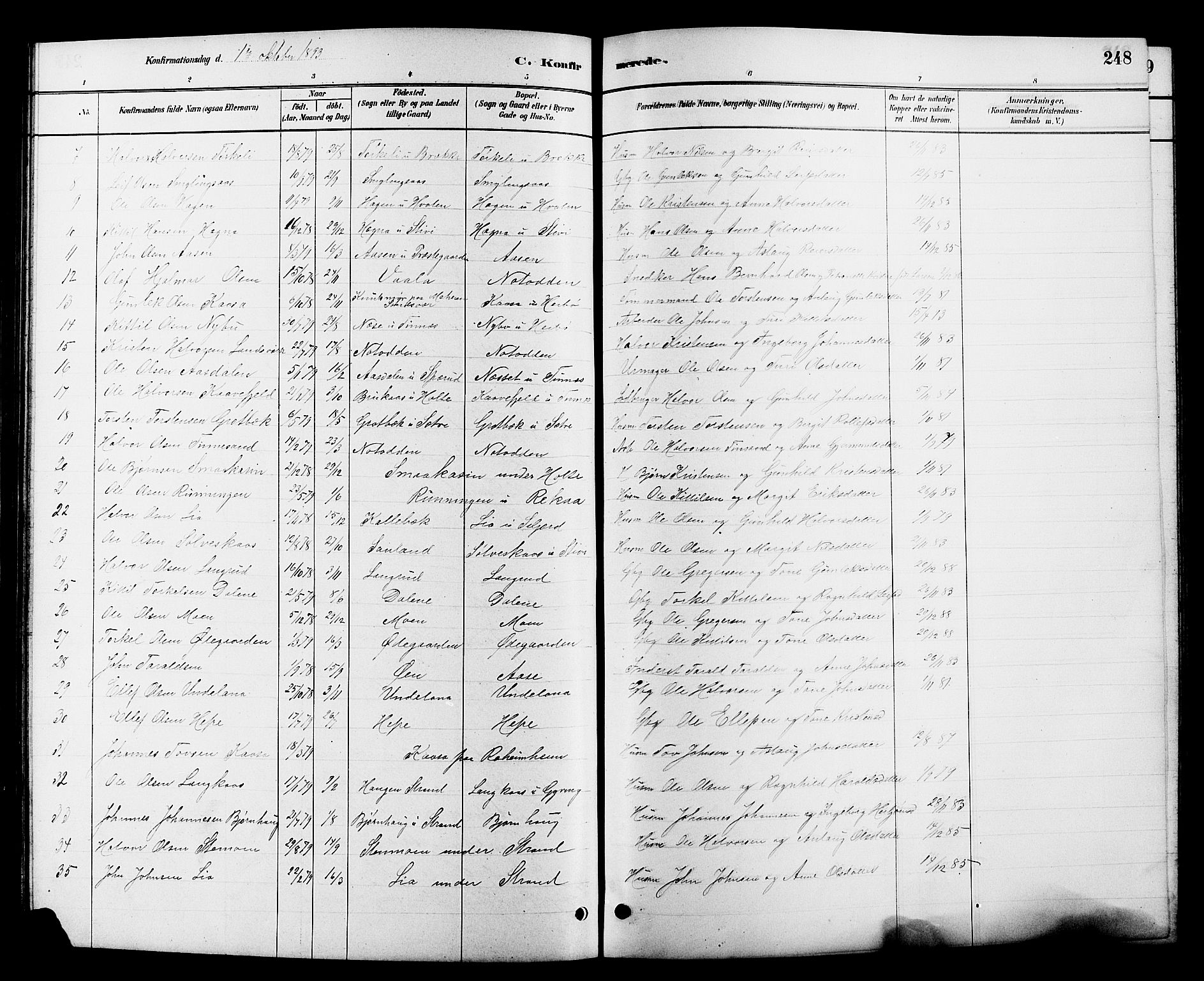 Heddal kirkebøker, AV/SAKO-A-268/G/Ga/L0002: Klokkerbok nr. I 2, 1879-1908, s. 248