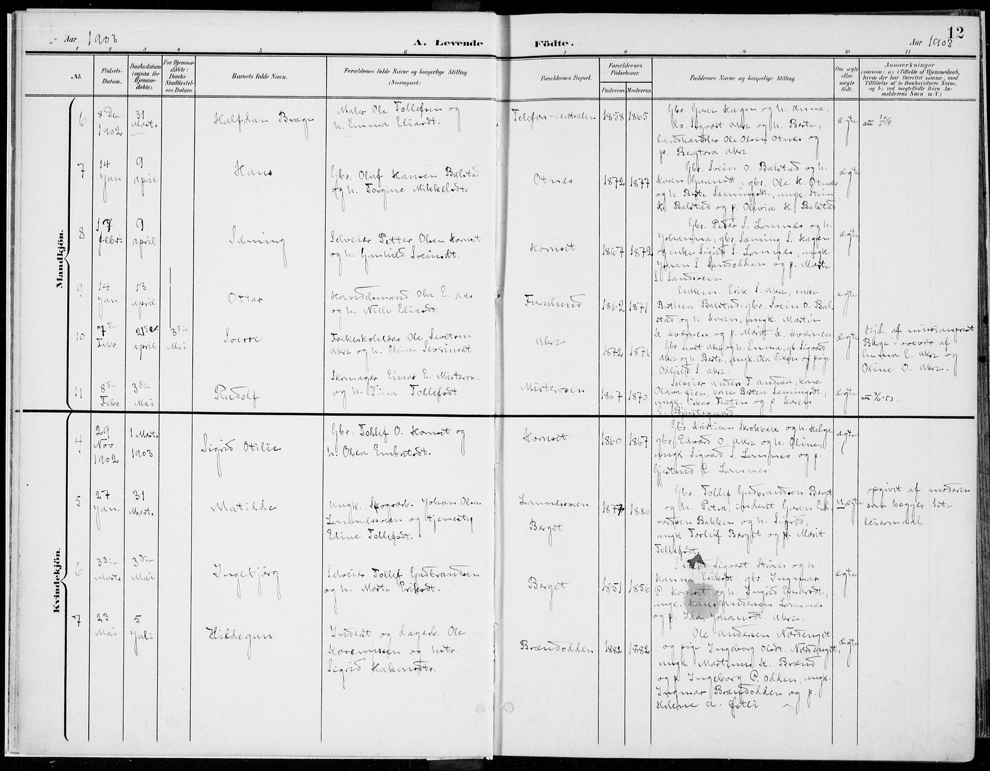 Rendalen prestekontor, AV/SAH-PREST-054/H/Ha/Haa/L0011: Ministerialbok nr. 11, 1901-1925, s. 12