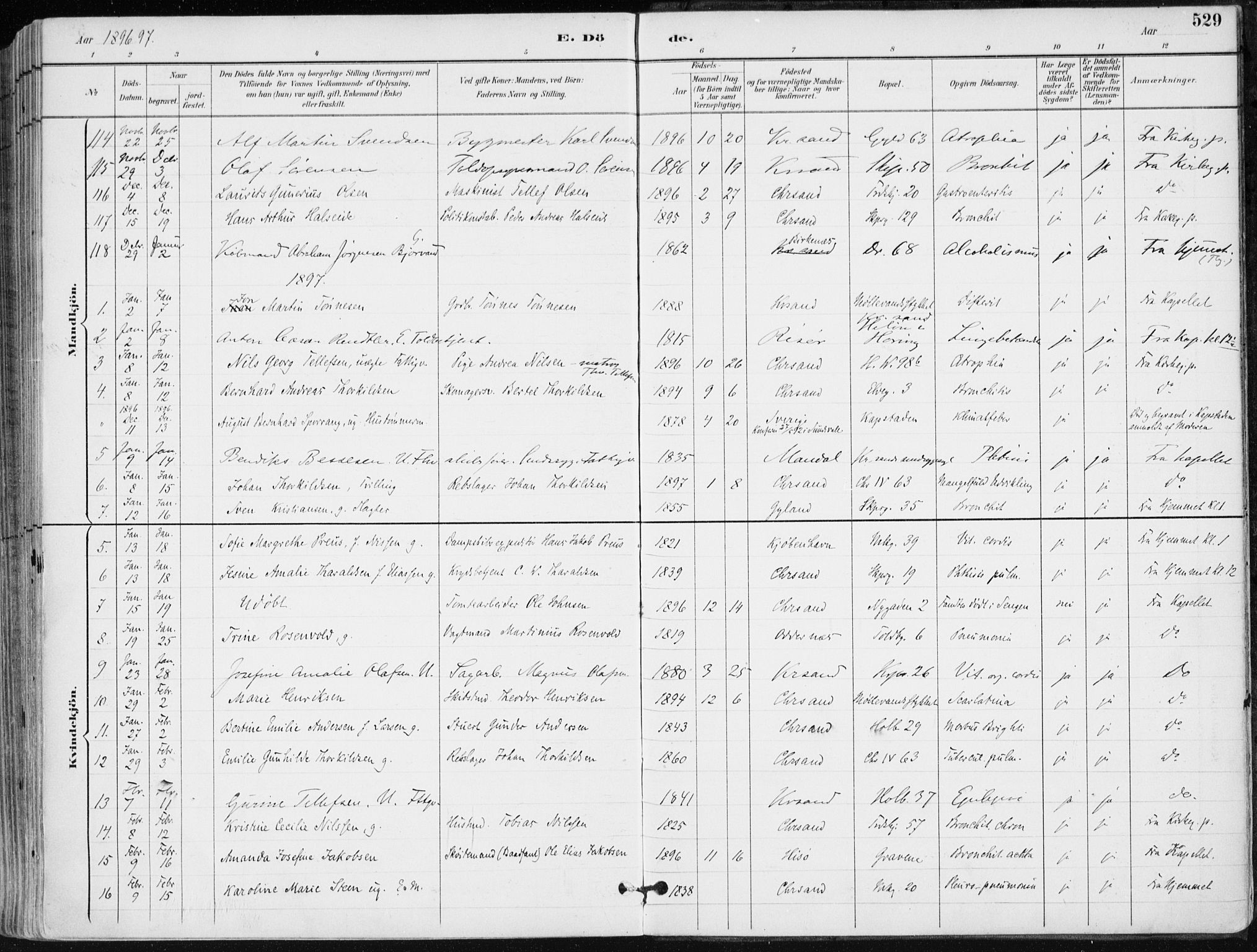 Kristiansand domprosti, AV/SAK-1112-0006/F/Fa/L0019: Ministerialbok nr. A 18, 1890-1897, s. 529