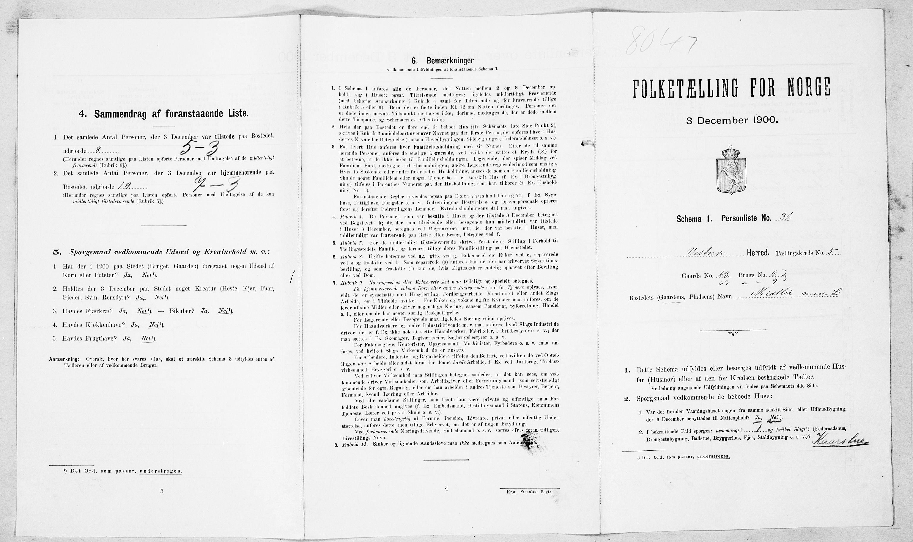 SAT, Folketelling 1900 for 1535 Vestnes herred, 1900, s. 565