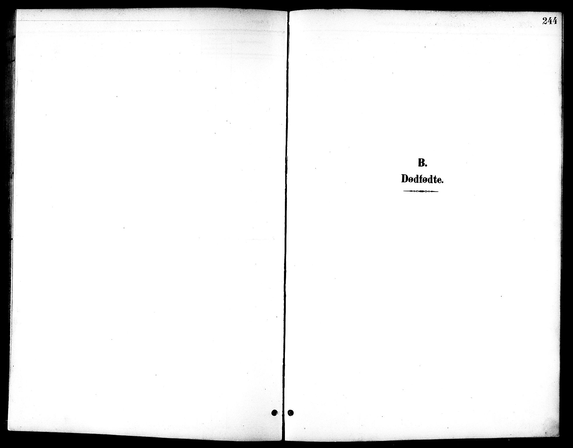Ministerialprotokoller, klokkerbøker og fødselsregistre - Sør-Trøndelag, AV/SAT-A-1456/601/L0094: Klokkerbok nr. 601C12, 1898-1911, s. 244