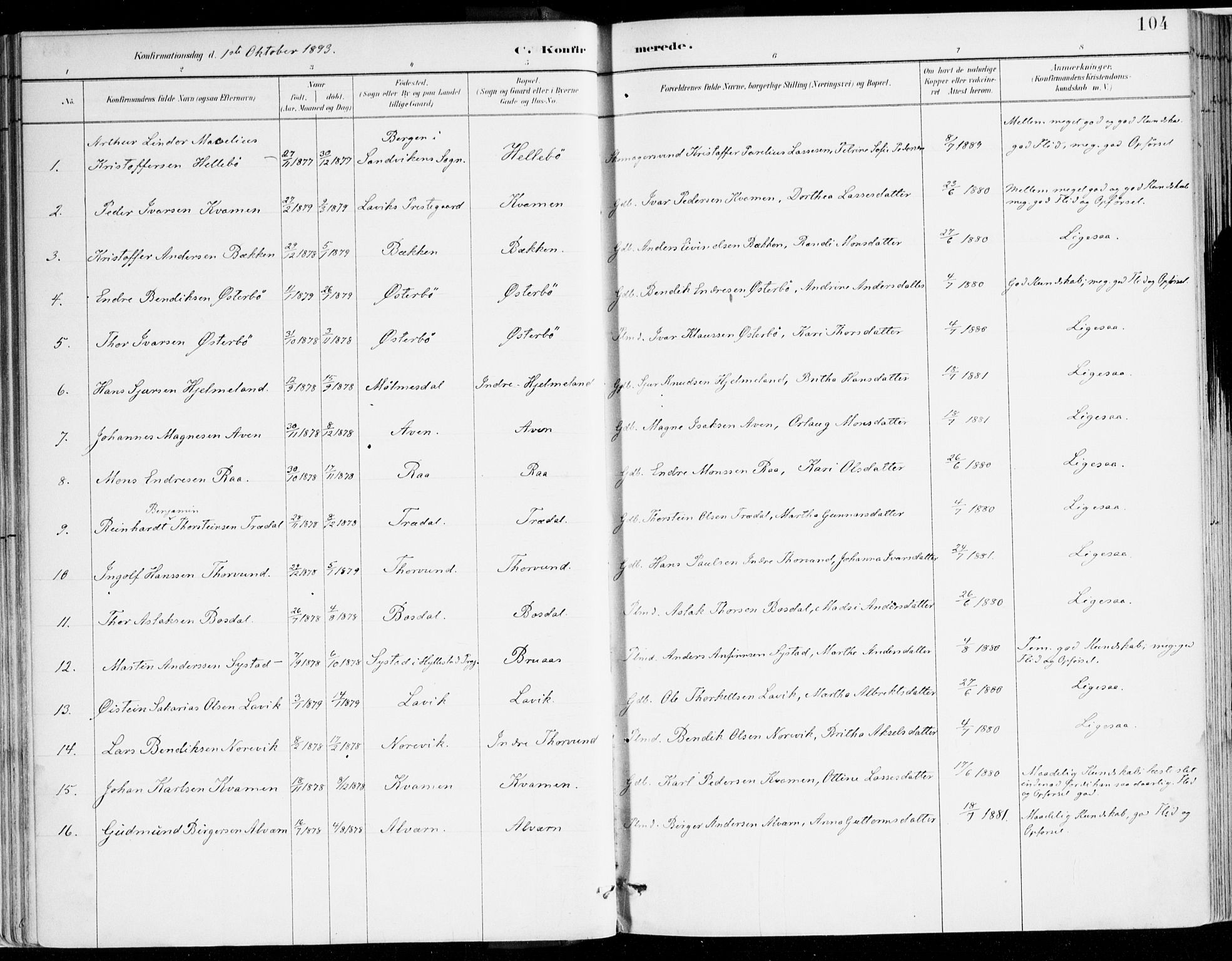 Lavik sokneprestembete, SAB/A-80901: Ministerialbok nr. B 1, 1882-1908, s. 104