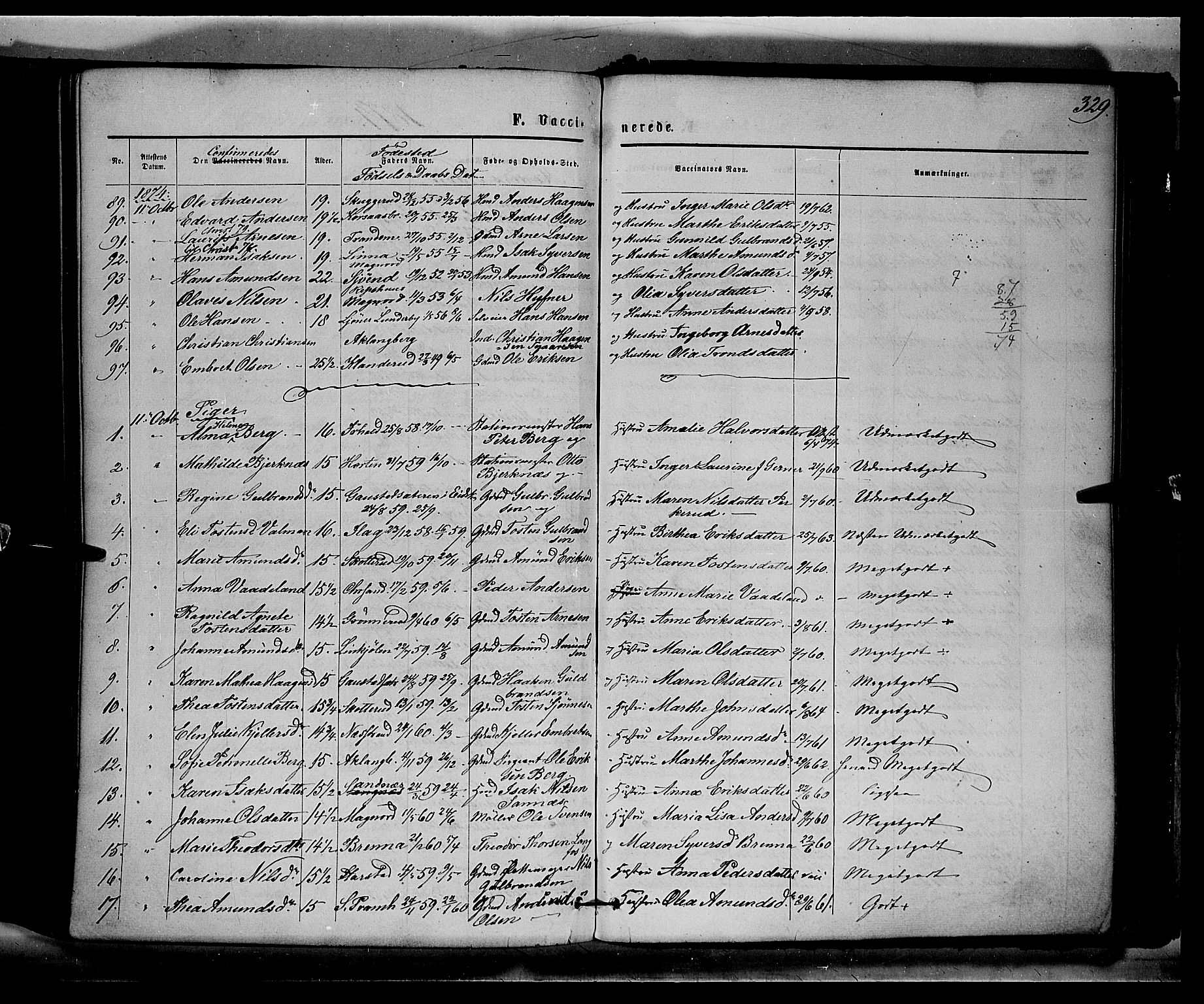 Eidskog prestekontor, AV/SAH-PREST-026/H/Ha/Haa/L0002: Ministerialbok nr. 2, 1867-1878, s. 329