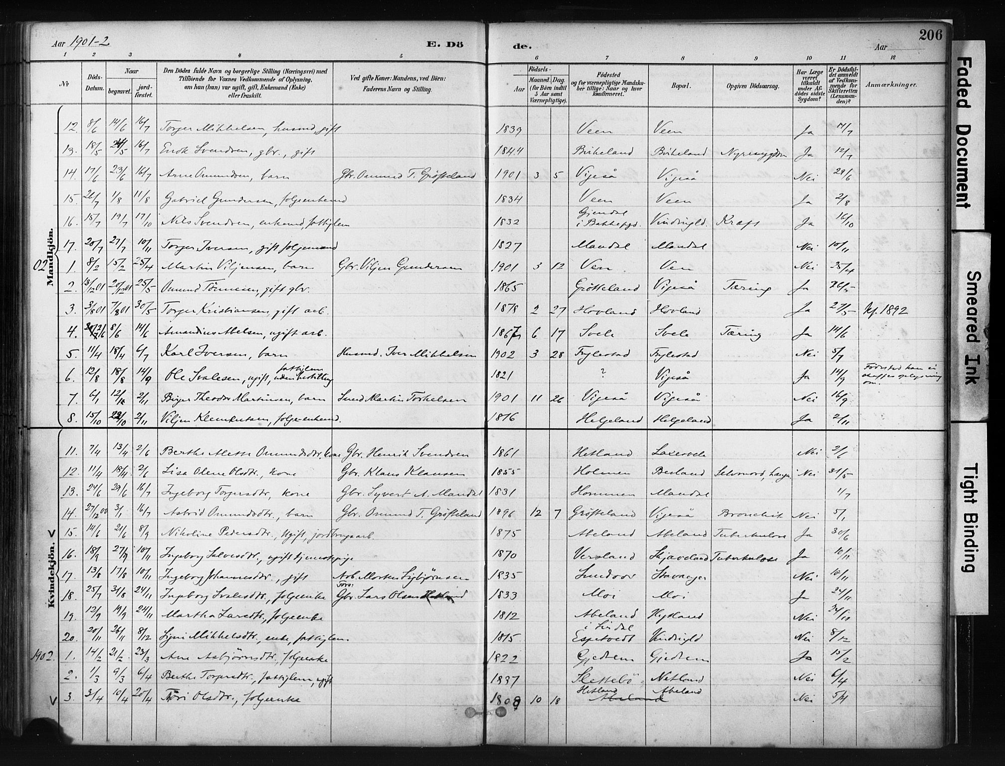 Helleland sokneprestkontor, SAST/A-101810: Ministerialbok nr. A 9, 1887-1908, s. 206