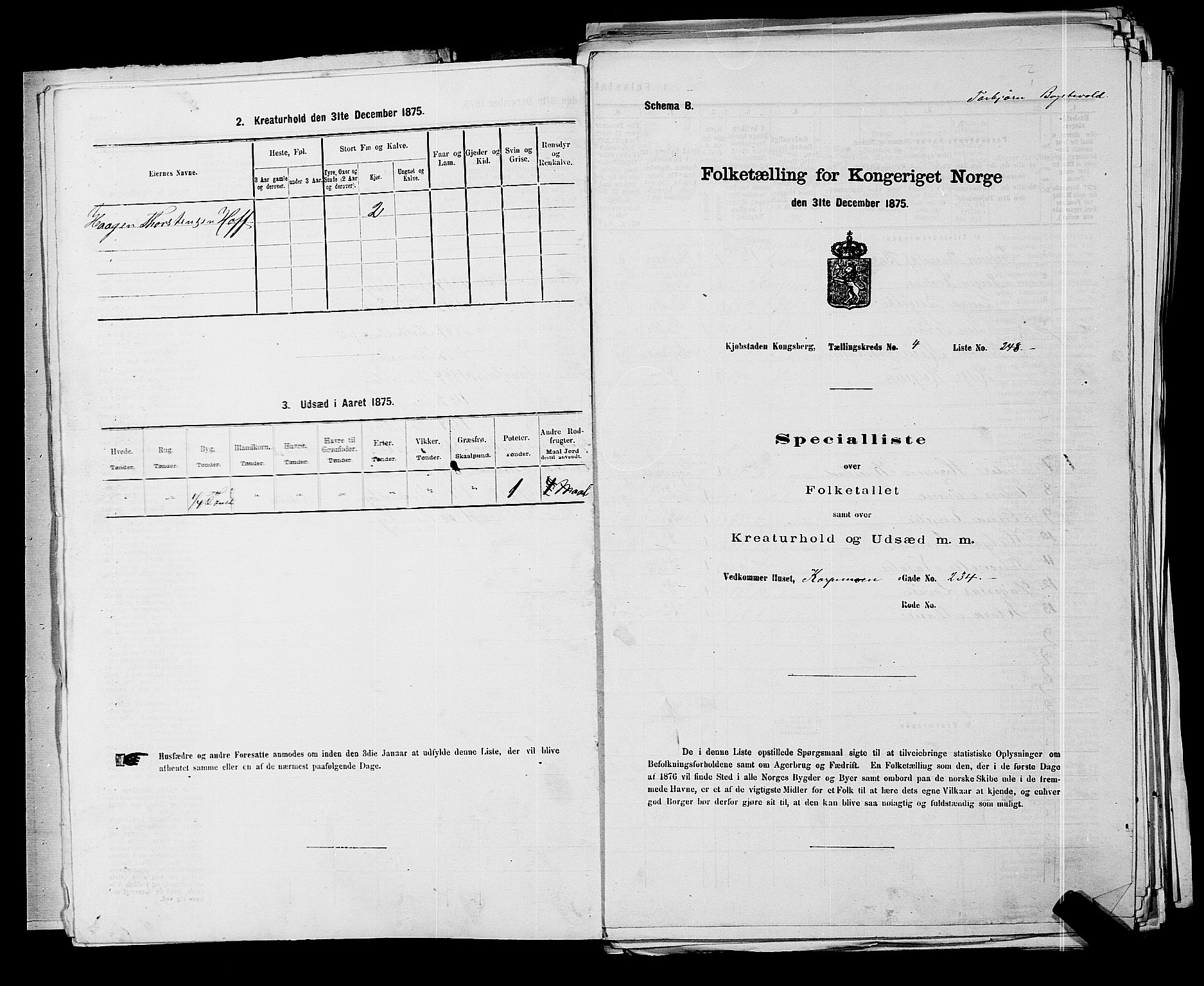 SAKO, Folketelling 1875 for 0604B Kongsberg prestegjeld, Kongsberg kjøpstad, 1875, s. 568