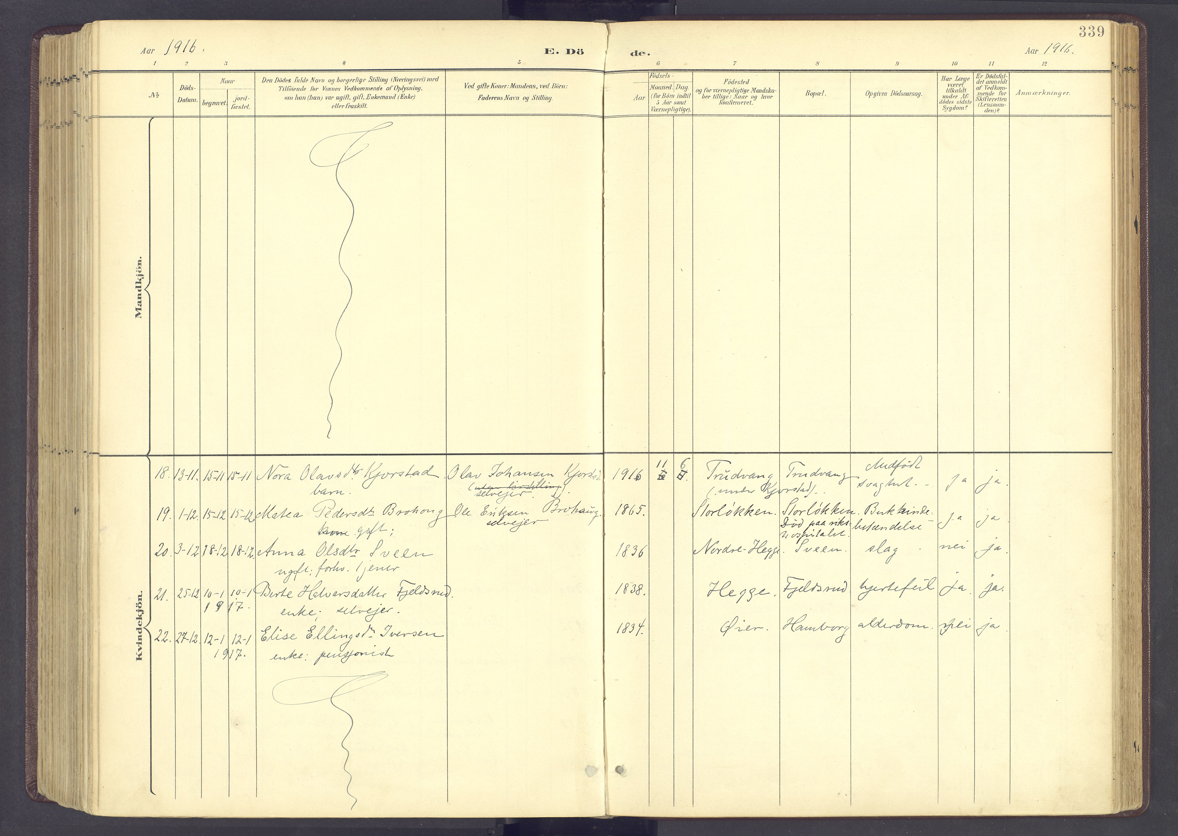 Sør-Fron prestekontor, AV/SAH-PREST-010/H/Ha/Haa/L0004: Ministerialbok nr. 4, 1898-1919, s. 339